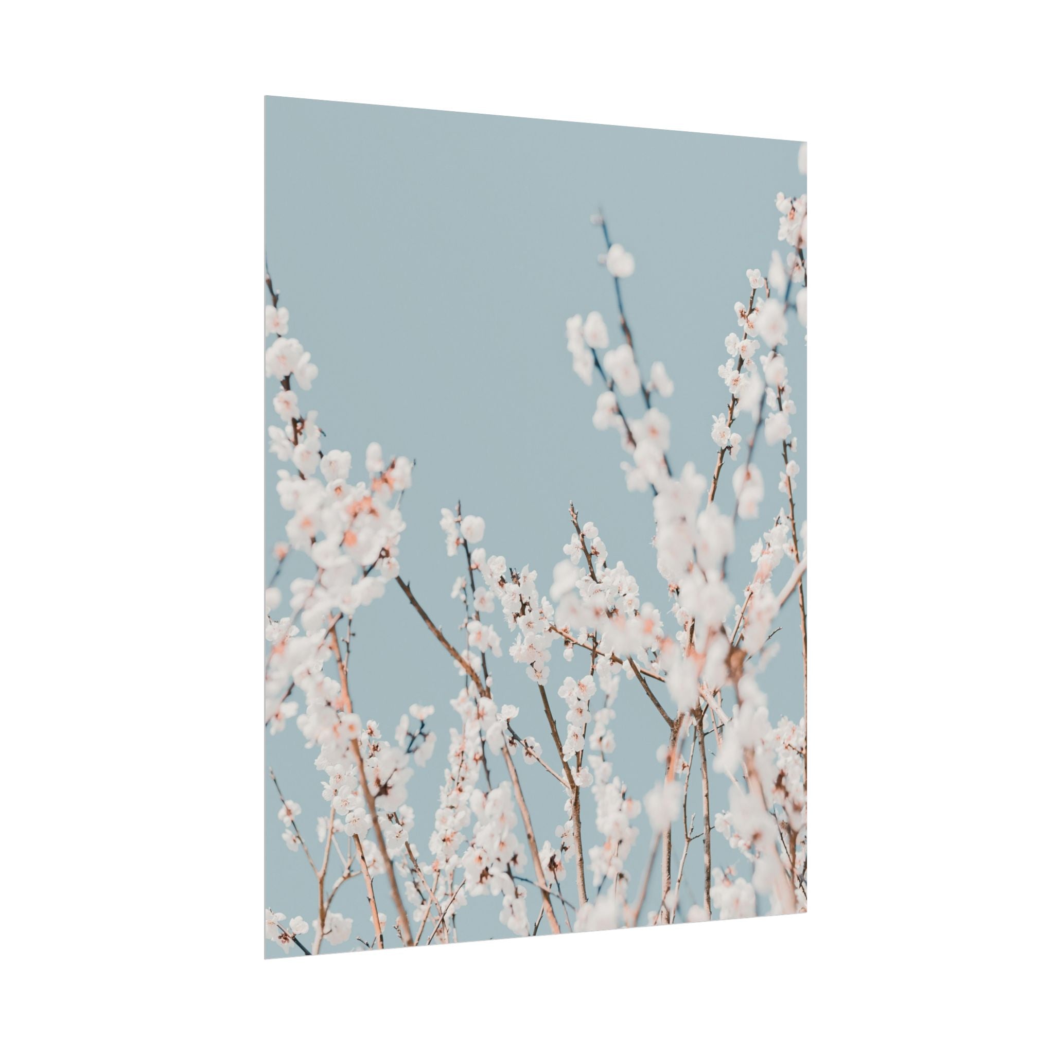 blossom-flowers-poster-print-minimalist-aesthetic-wall-art-fine-art-paper-home-decor-floral-decor-elegant-artwork