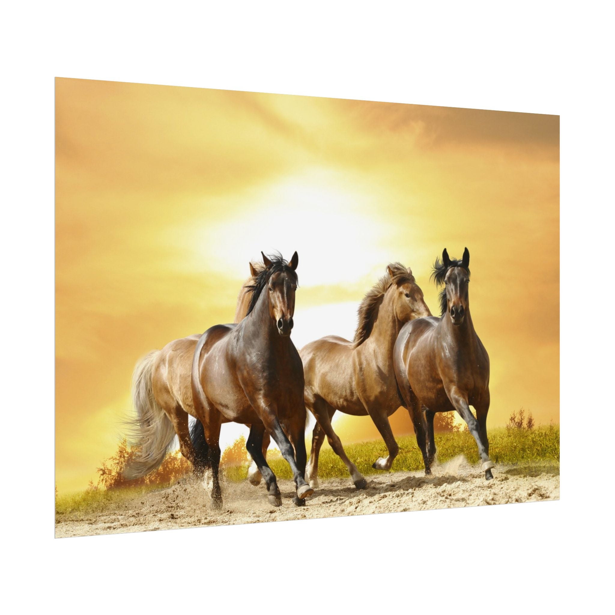 running-horse-poster-wall-art-farmhouse-wall-decor-home-decor-housewarming-gift-horse-print-wall-print-wild-animals