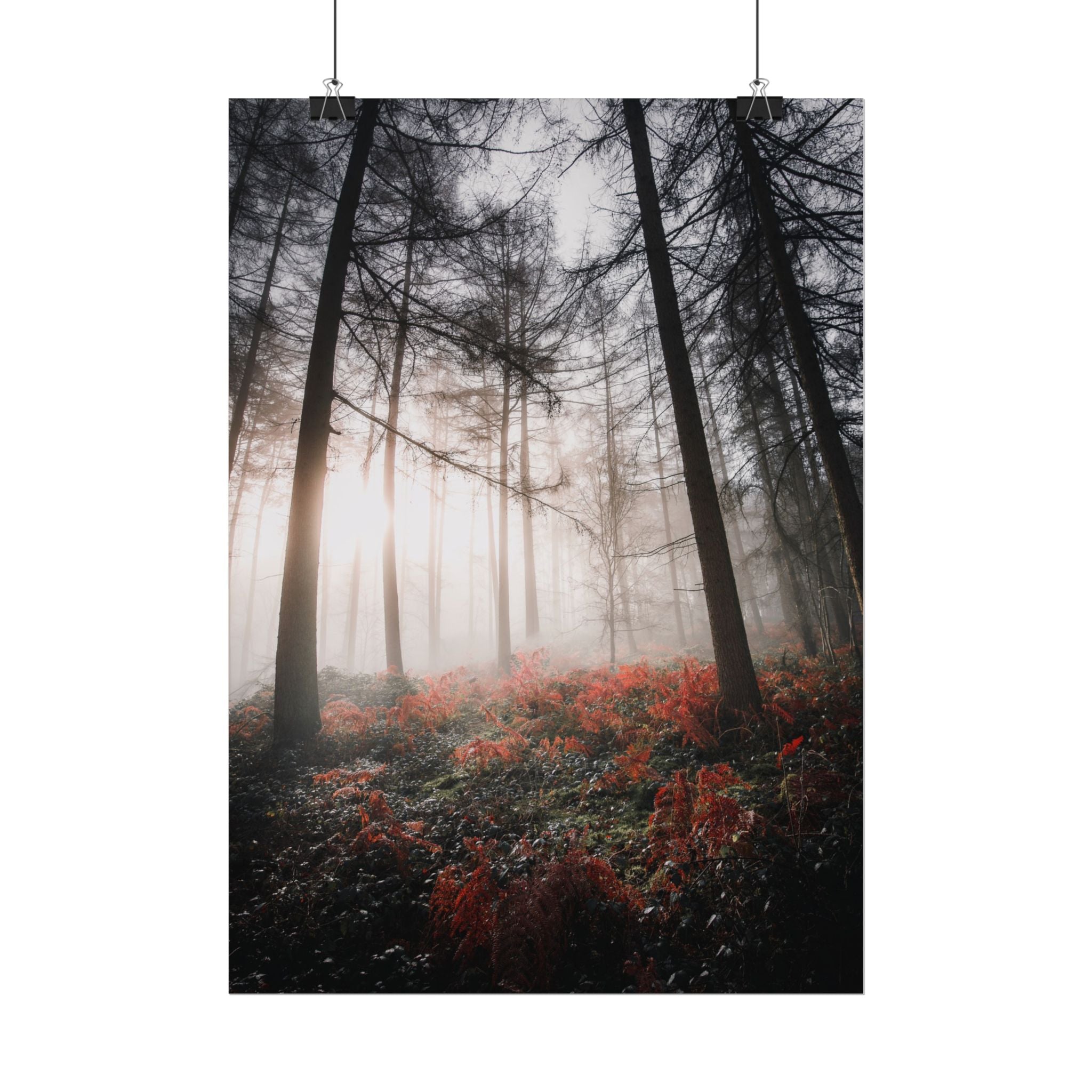 poster-print-misty-woods-art-living-room-wall-decor-sunlight-forest-landscape-aesthetic-nature-art-nature-artwork-poster-gift