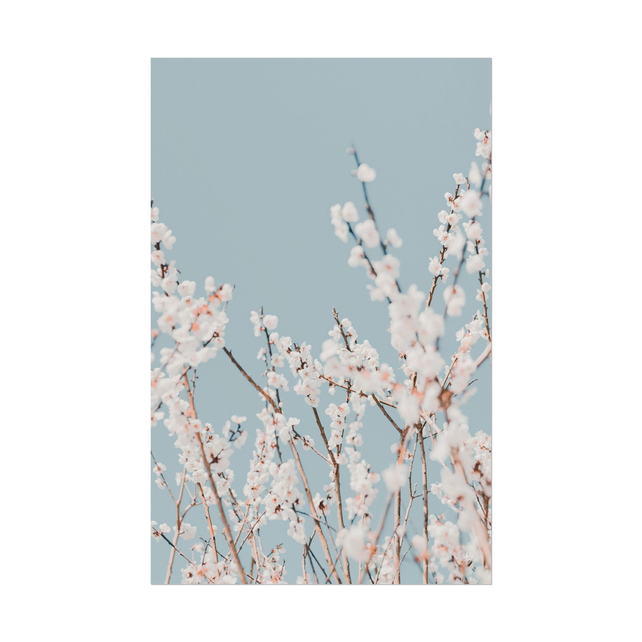 blossom-flowers-poster-print-minimalist-aesthetic-wall-art-fine-art-paper-home-decor-floral-decor-elegant-artwork