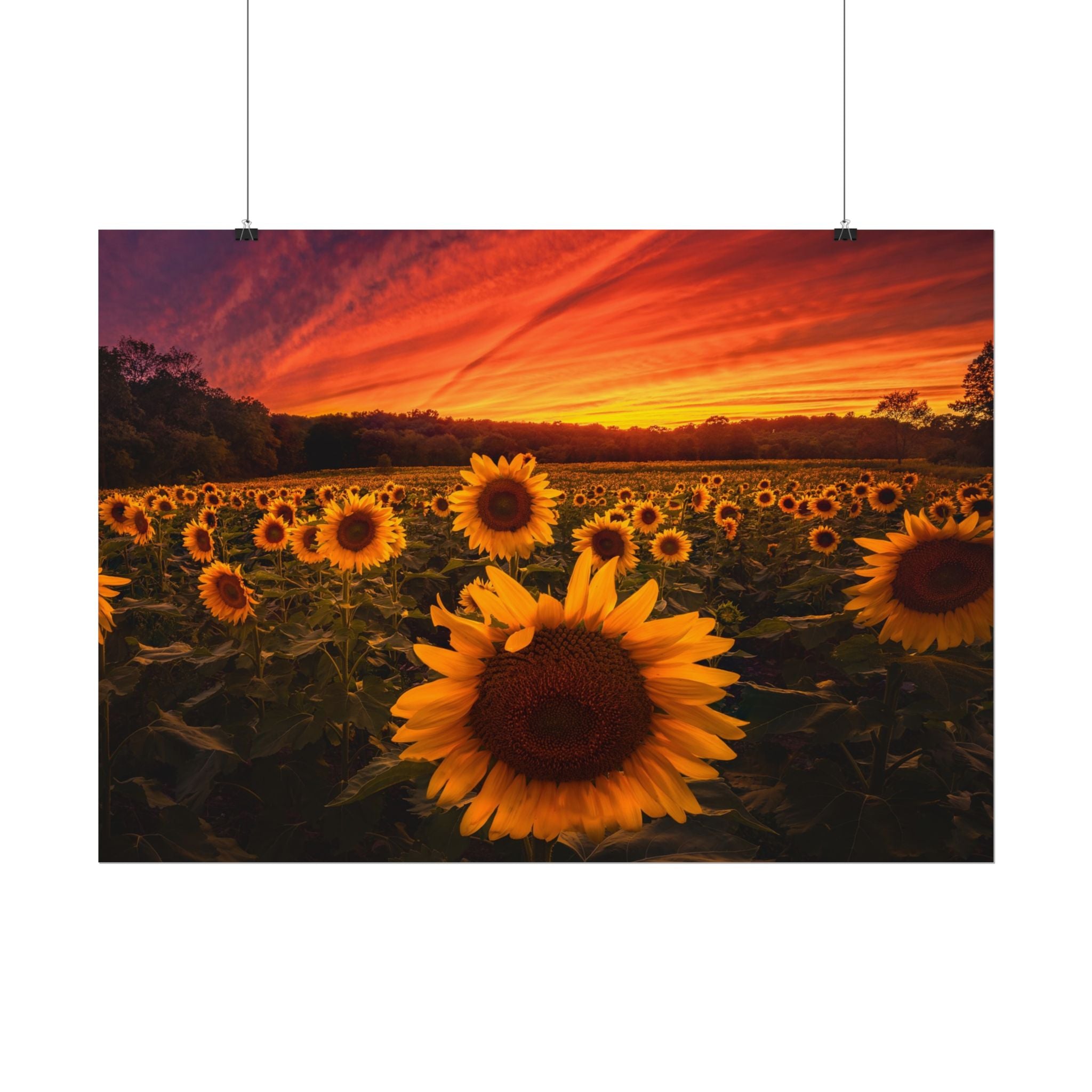 sun-flower-poster-print-sunset-wall-art-decor-home-decor-nature-art-floral-print-gift-for-nature-lovers-farmhouse-wall-decor