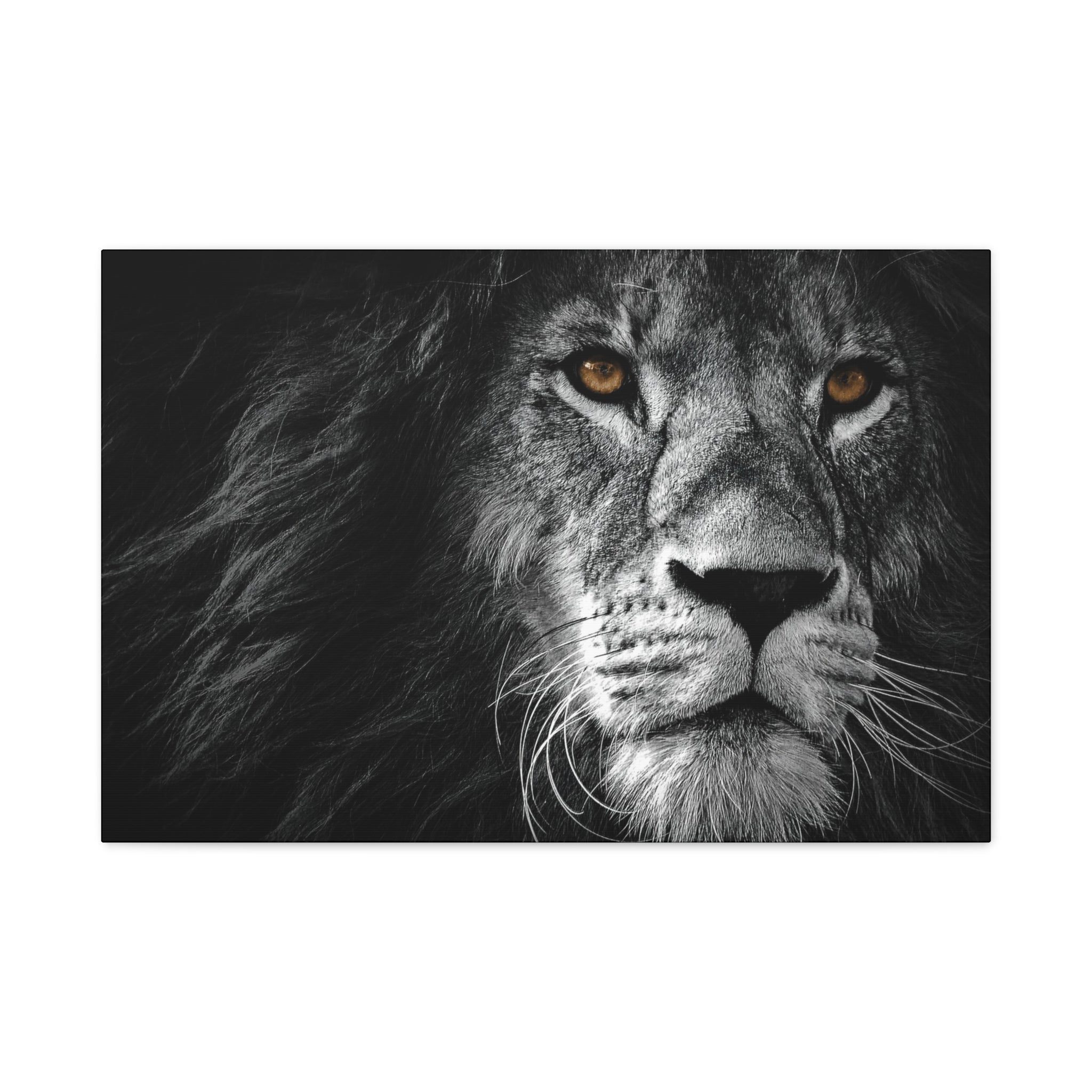 canvas-print-lion-wall-art-black-and-white-living-room-decor-matte-stretched-lion-poster-jungle-animal-art-print-wildlife-saf