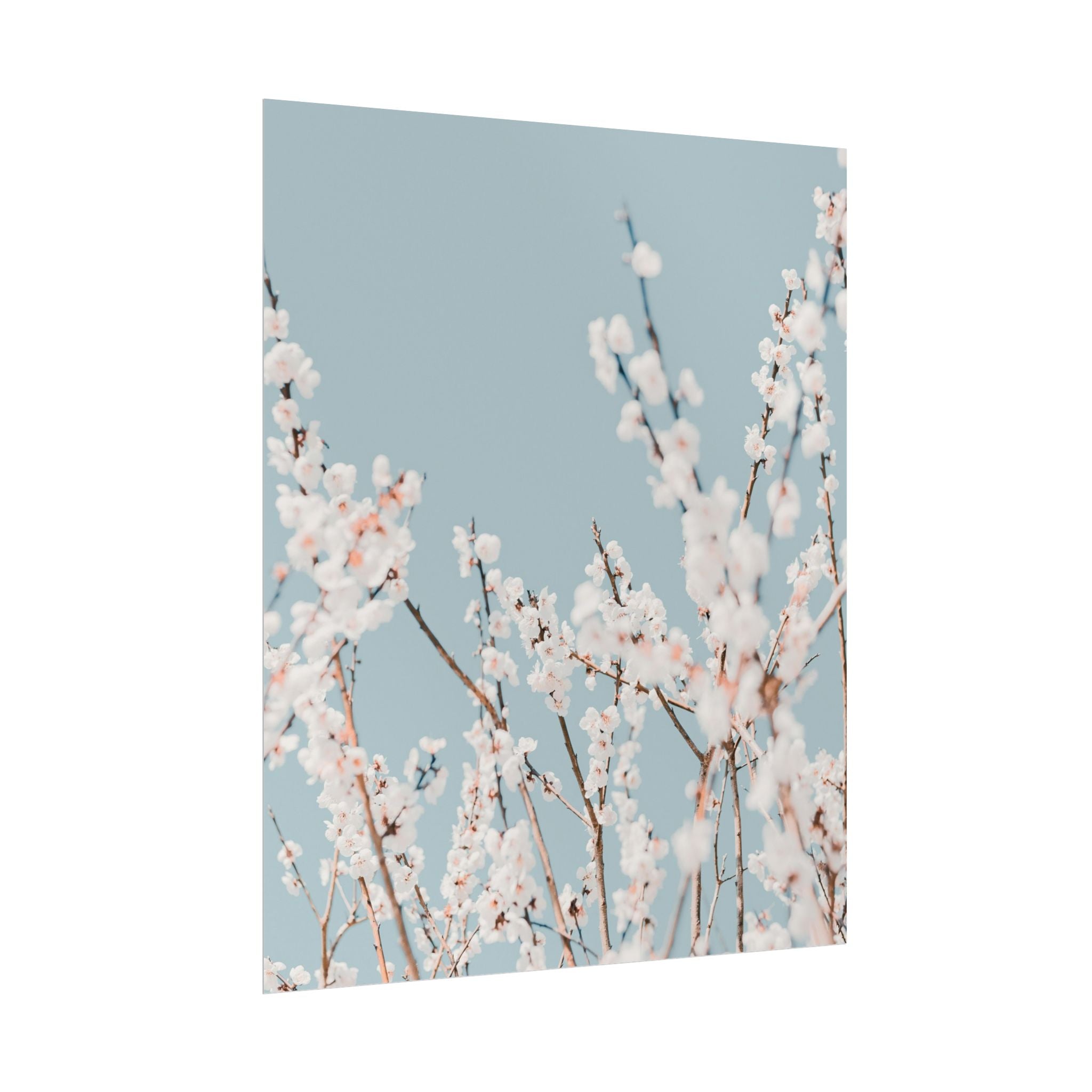 blossom-flowers-poster-print-minimalist-aesthetic-wall-art-fine-art-paper-home-decor-floral-decor-elegant-artwork