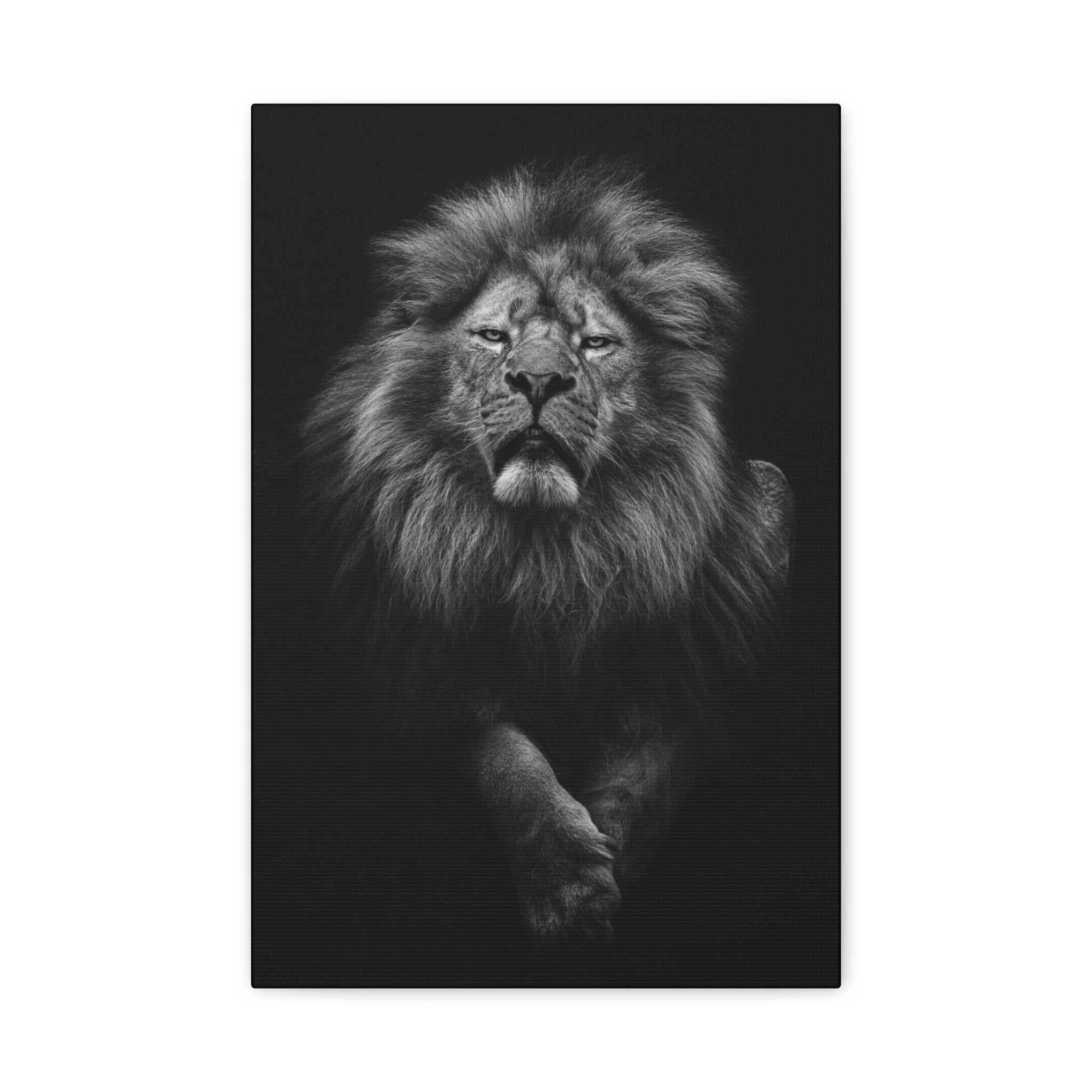 canvas-print-lion-wall-art-black-and-white-living-room-decor-matte-stretched-lion-poster-jungle-animal-art-print-wildlife-saf
