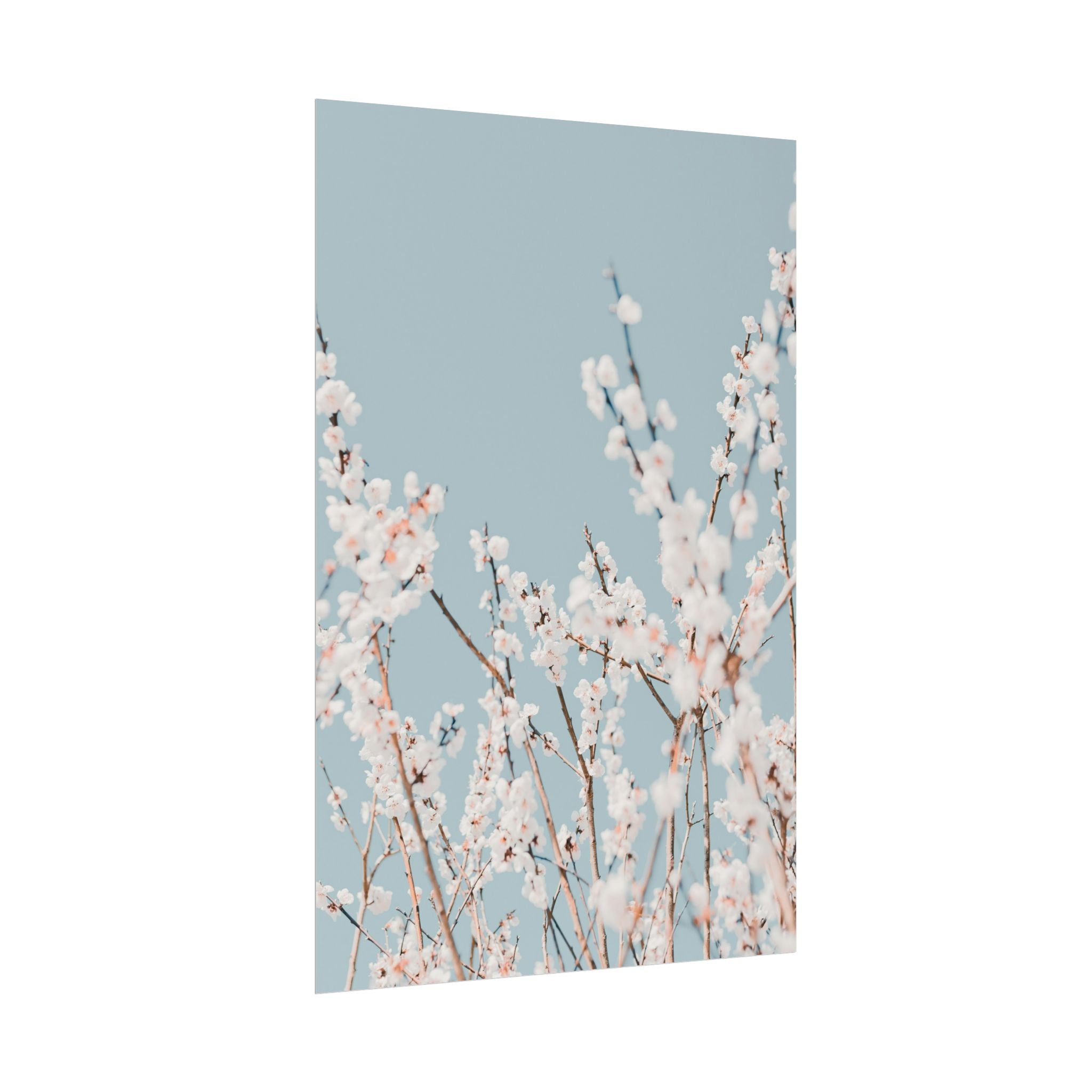 blossom-flowers-poster-print-minimalist-aesthetic-wall-art-fine-art-paper-home-decor-floral-decor-elegant-artwork