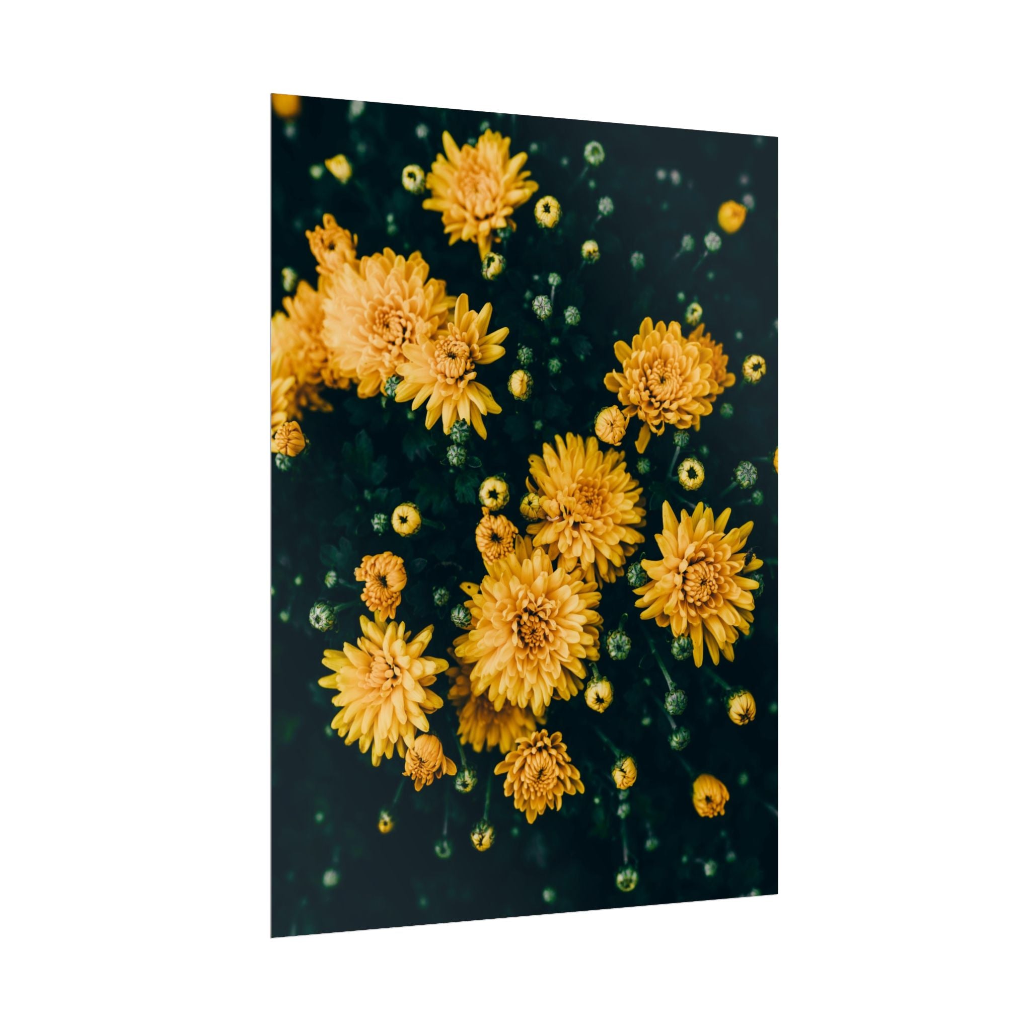 yellow-flower-art-poster-print-floral-wall-decor-floral-home-decor-gift-dark-botanical-art-print