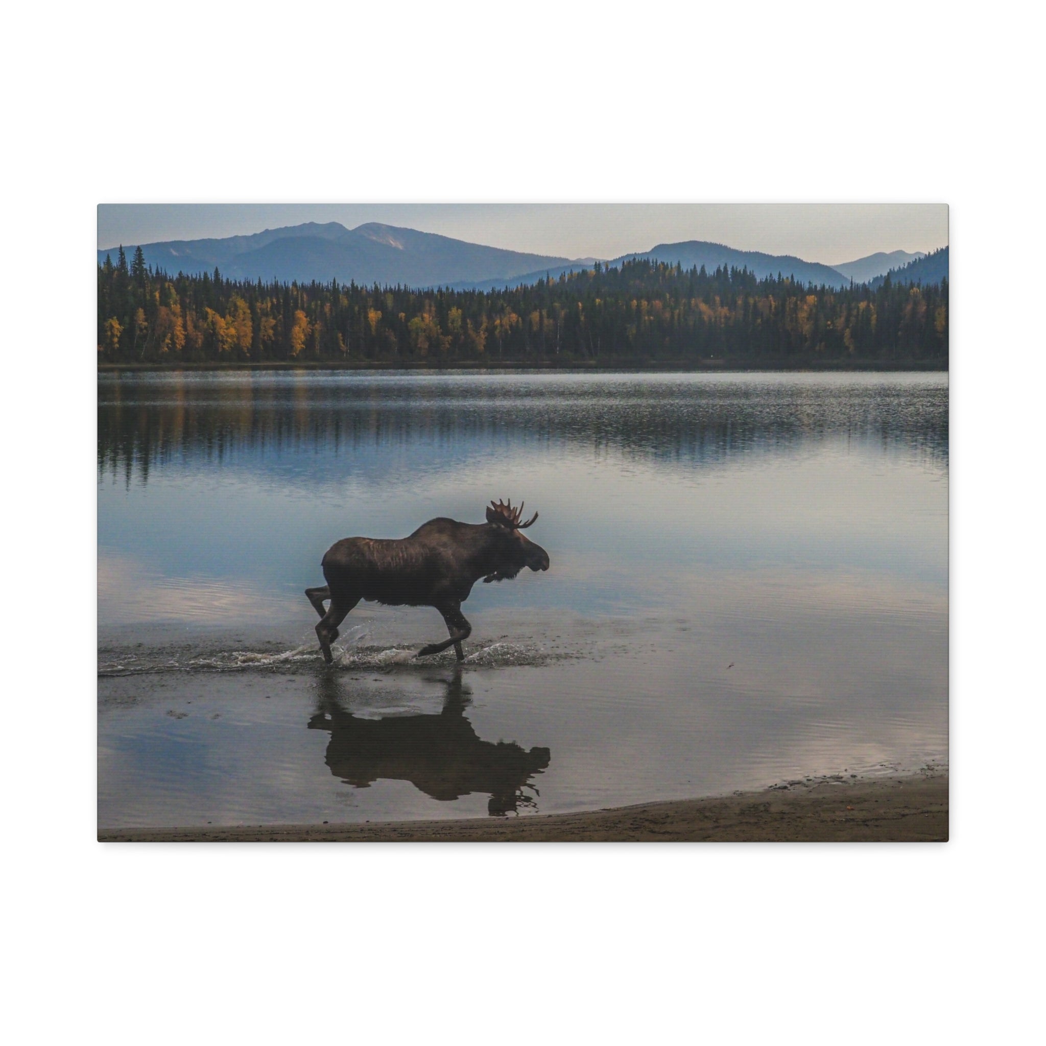 canvas-art-print-rustic-moose-wall-decor-cabin-lodge-wildlife-painting-nature-home-decor-wilderness-animal-poster-farmhouse-w
