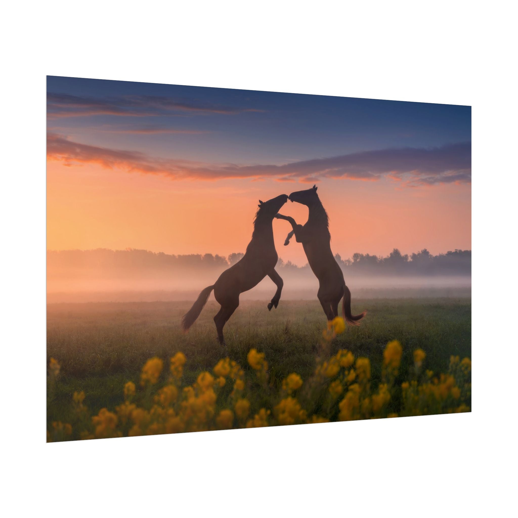 wild-rising-horses-poster-print-field-of-flowers-decor-home-decor-farmhouse-wall-decor-nature-wall-art-horse-Poster-print-mus
