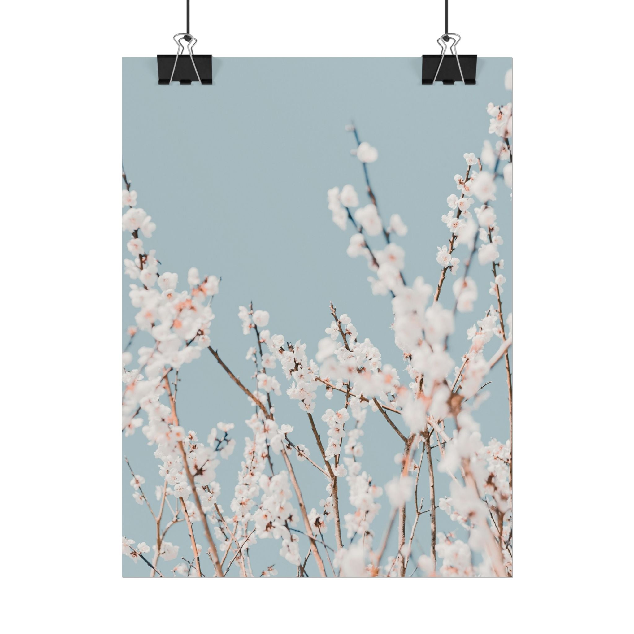 blossom-flowers-poster-print-minimalist-aesthetic-wall-art-fine-art-paper-home-decor-floral-decor-elegant-artwork