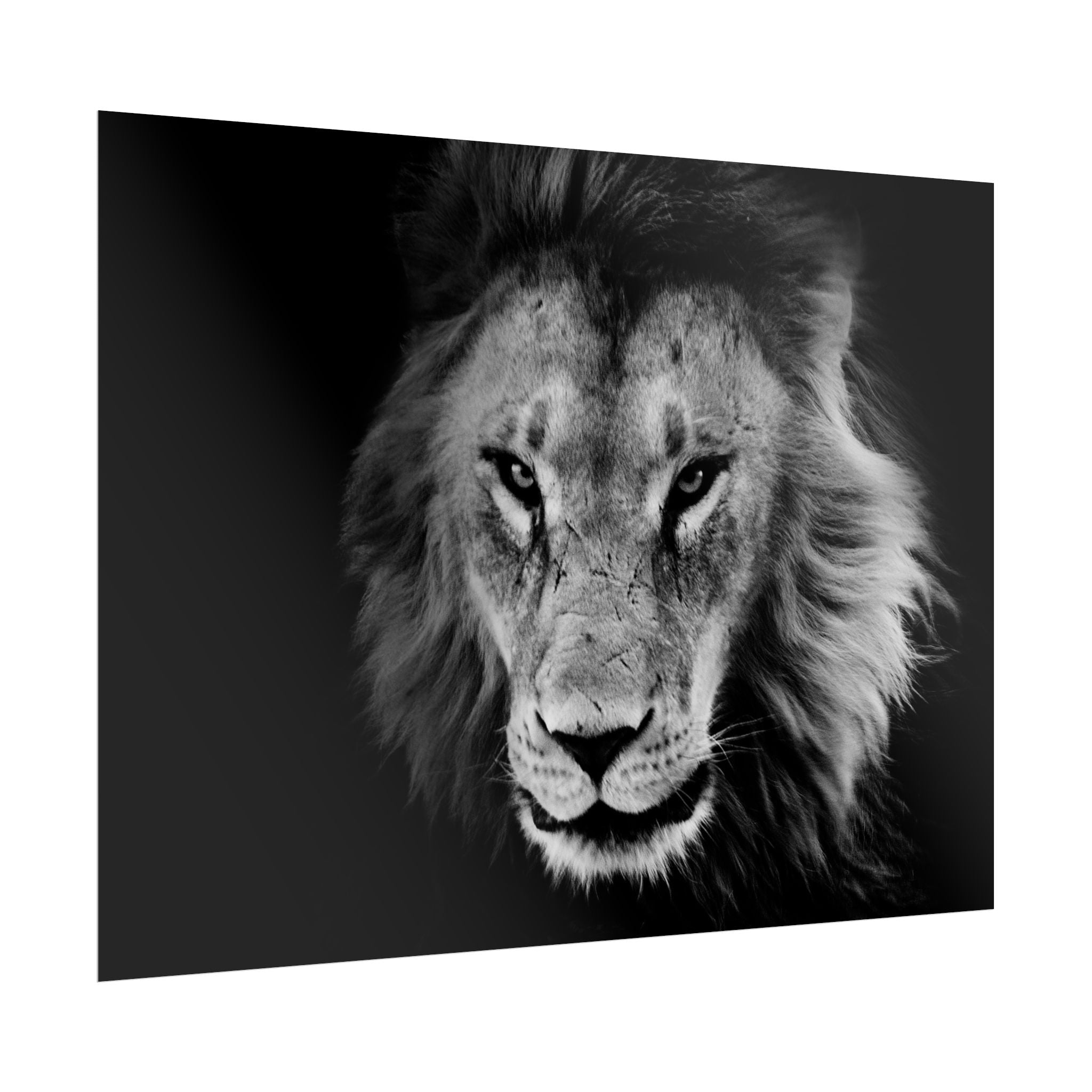 poster-print-lion-wall-art-black-and-white-living-room-decor-monochrome-art-lion-poster-jungle-animal-art-print-wildlife-safa