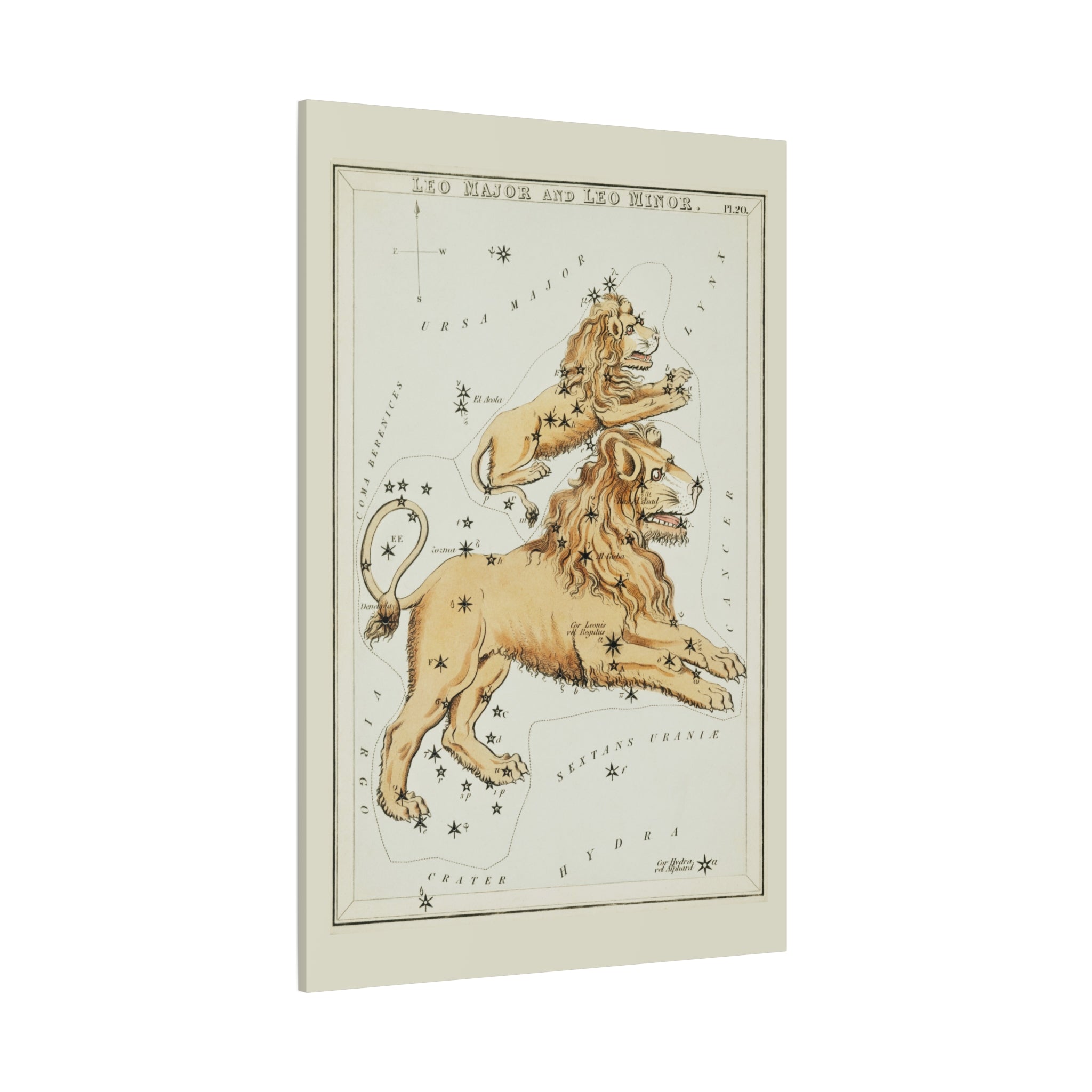 canvas-print-star-map-leo-major-leo-minor-celestial-gift-vintage-map-celestial-map-wall-art-decor-astronomy-decor-constellati
