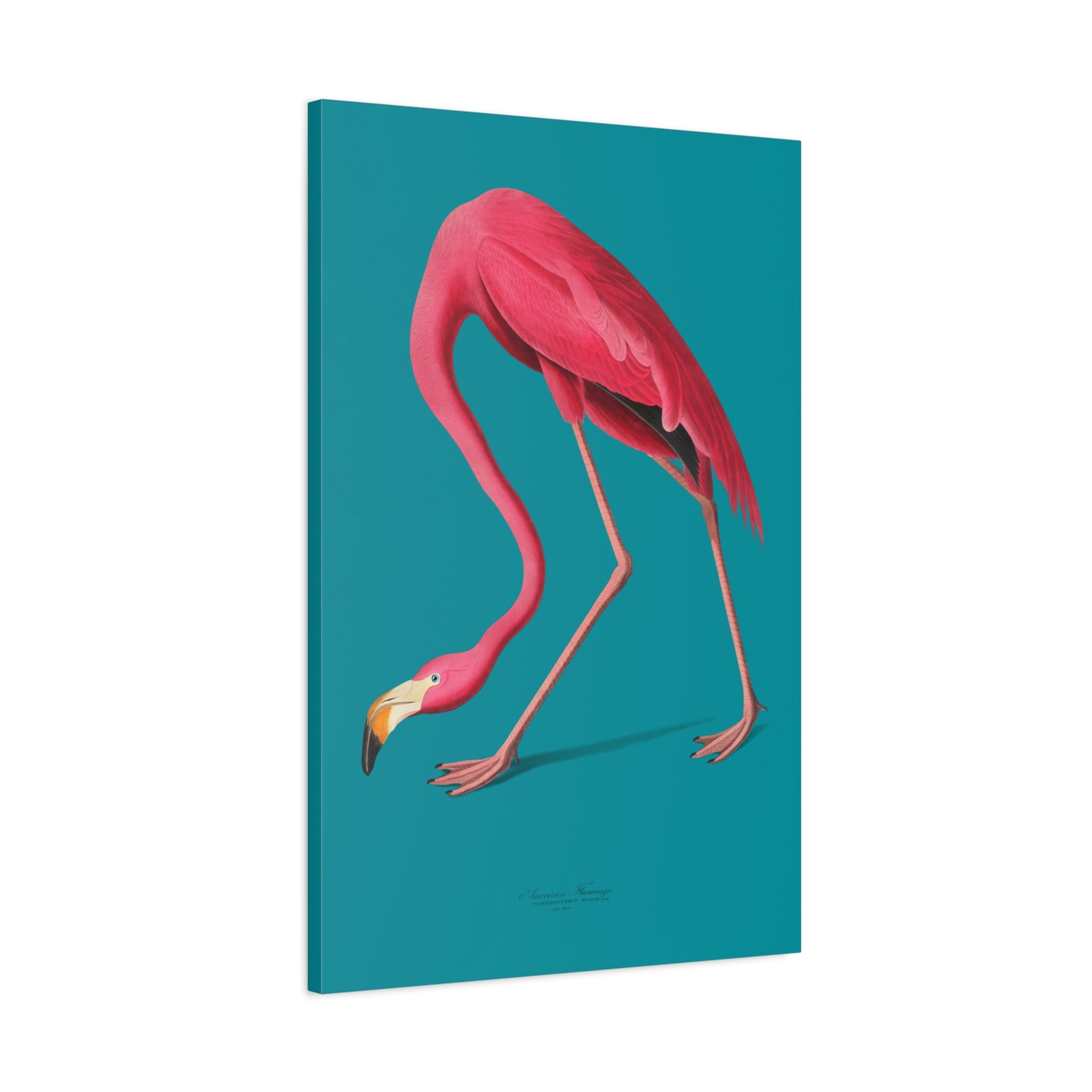 canvas-print-pink-flamingo-wall-art-vintage-home-decor-living-room-decor-stretched-canvas-art-pink-wall-art-flamingo-illustra