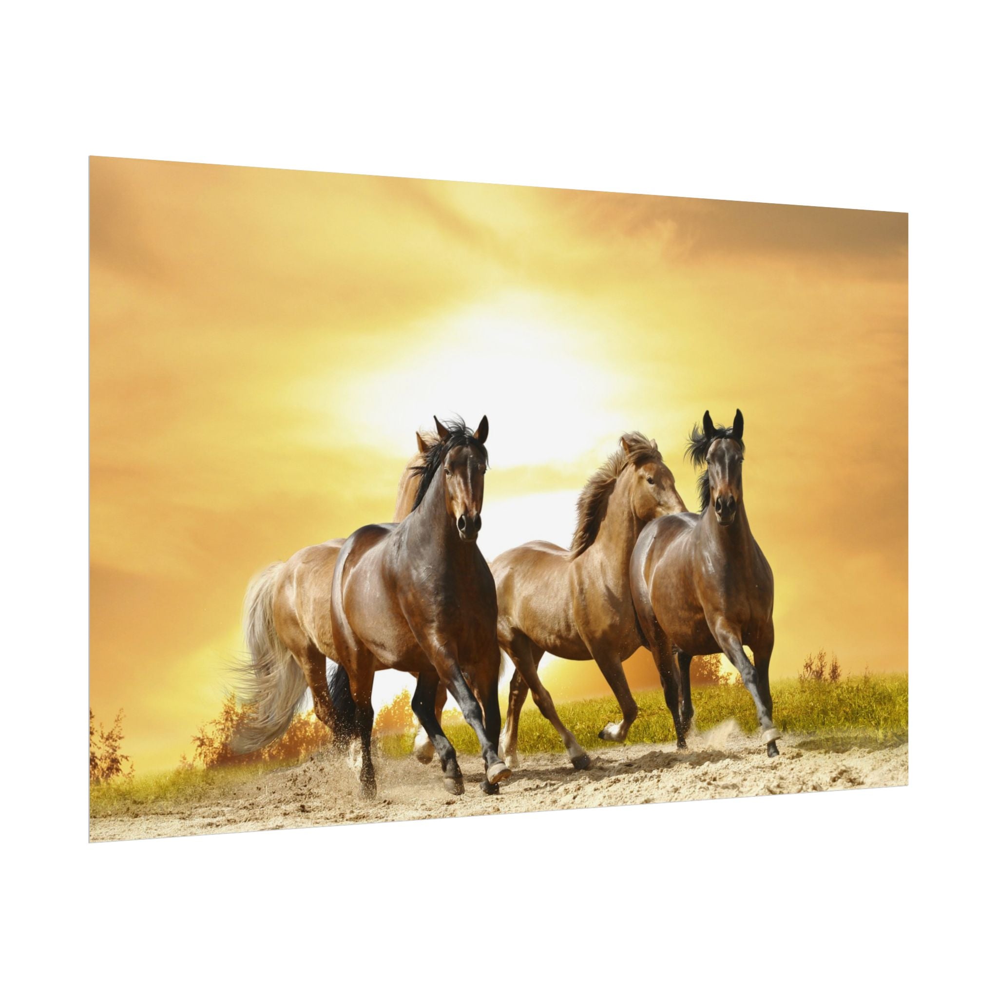 running-horse-poster-wall-art-farmhouse-wall-decor-home-decor-housewarming-gift-horse-print-wall-print-wild-animals