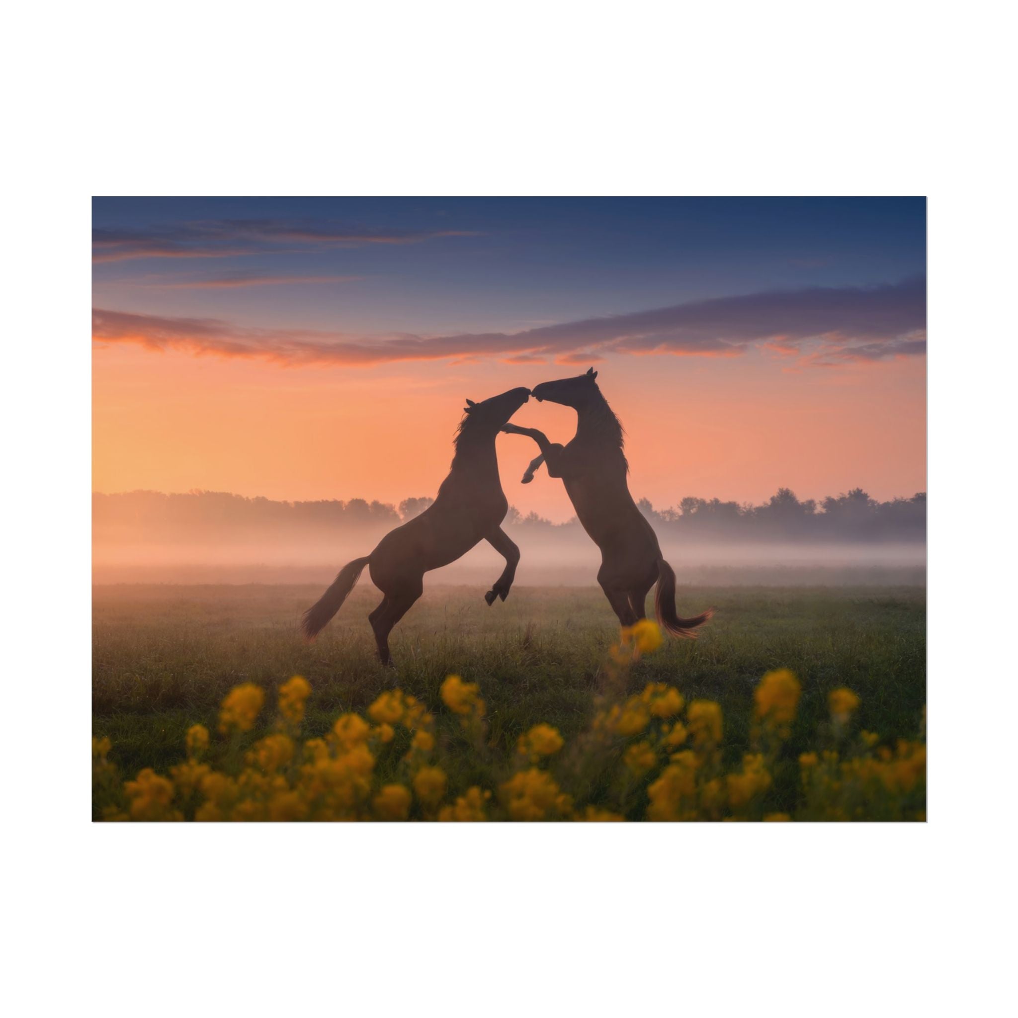 wild-rising-horses-poster-print-field-of-flowers-decor-home-decor-farmhouse-wall-decor-nature-wall-art-horse-Poster-print-mus