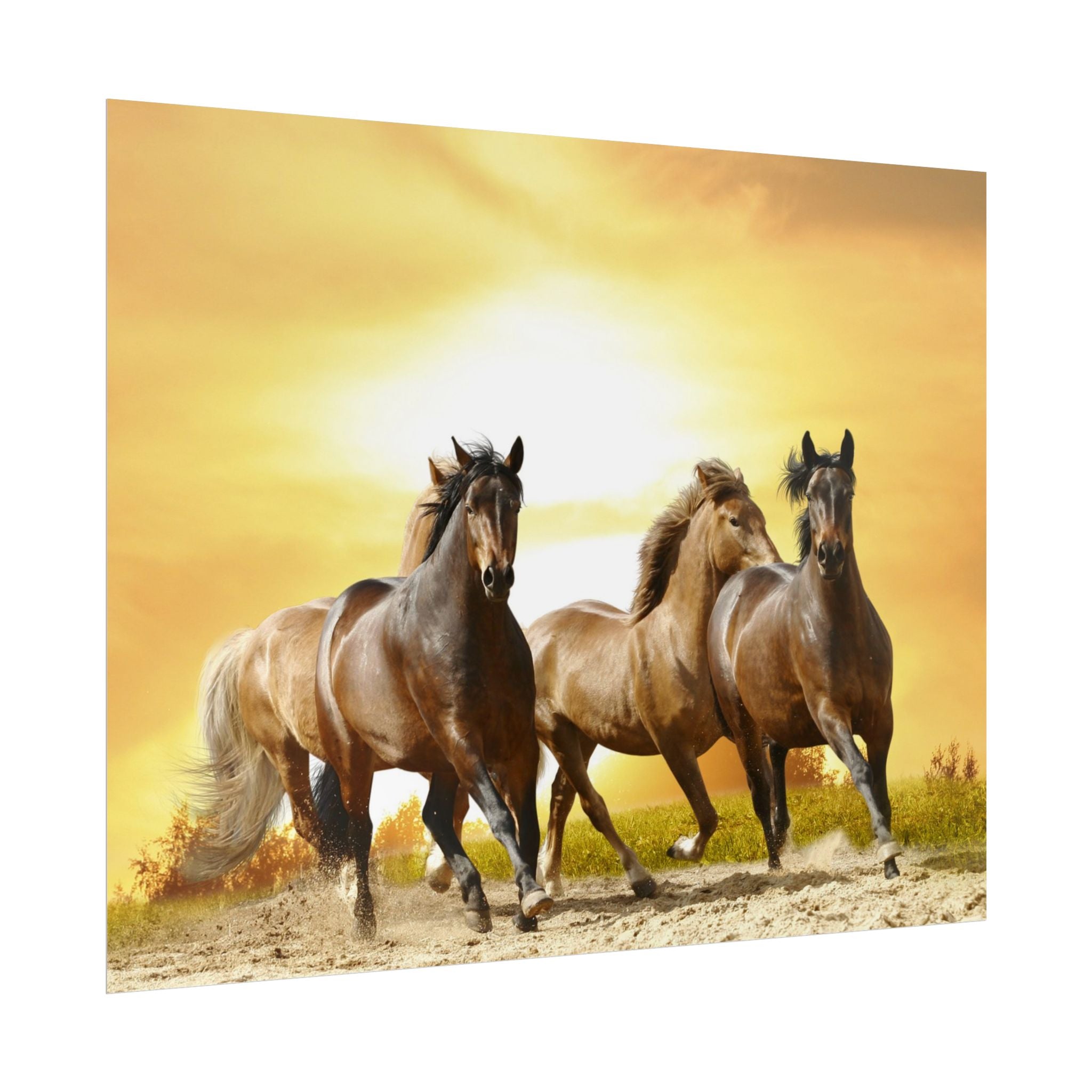 running-horse-poster-wall-art-farmhouse-wall-decor-home-decor-housewarming-gift-horse-print-wall-print-wild-animals