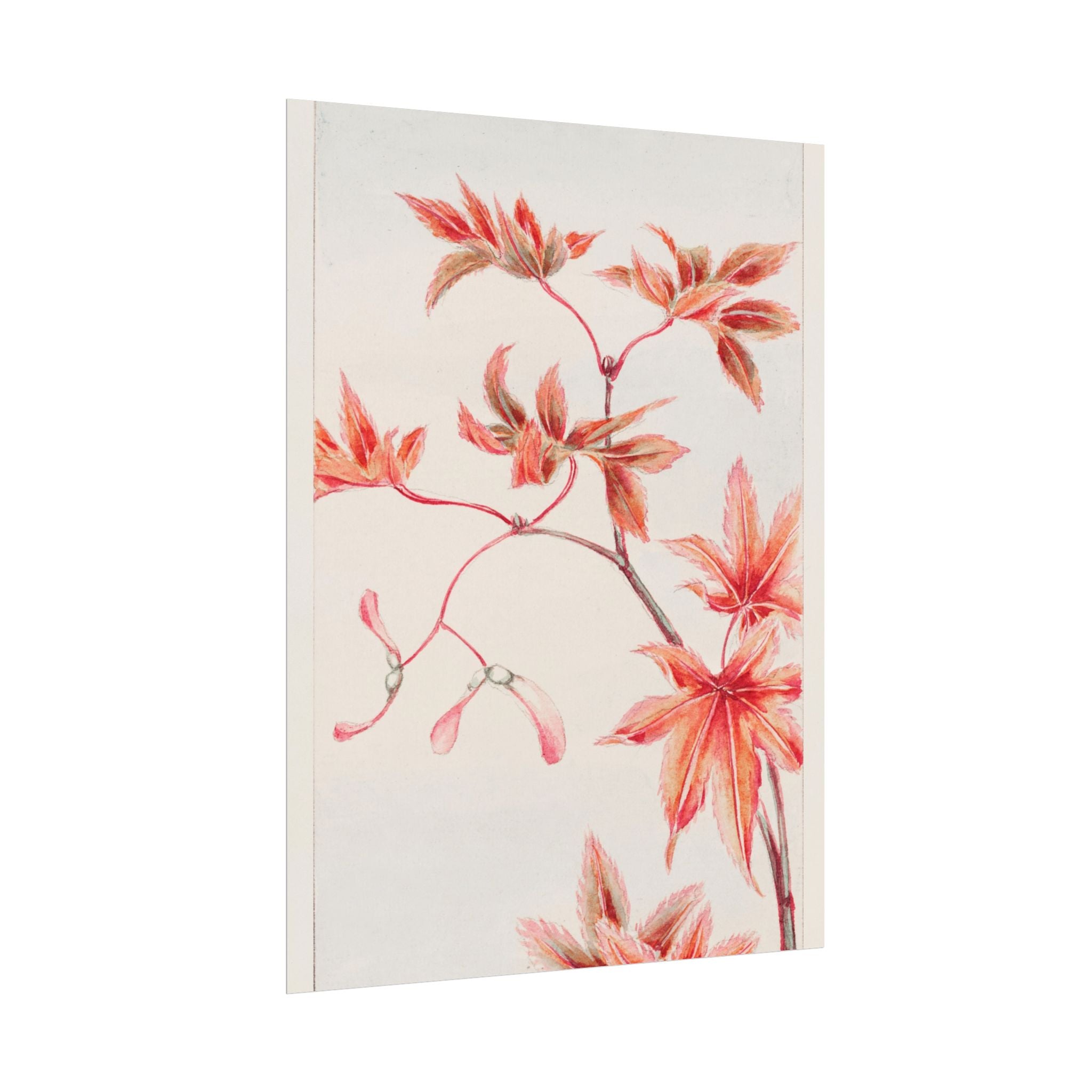 poster-print-branch-of-momiji-maple-tree-with-leaves-floral-wall-art-rolled-posters-wall-decor-room-decoration-nature-art-bot