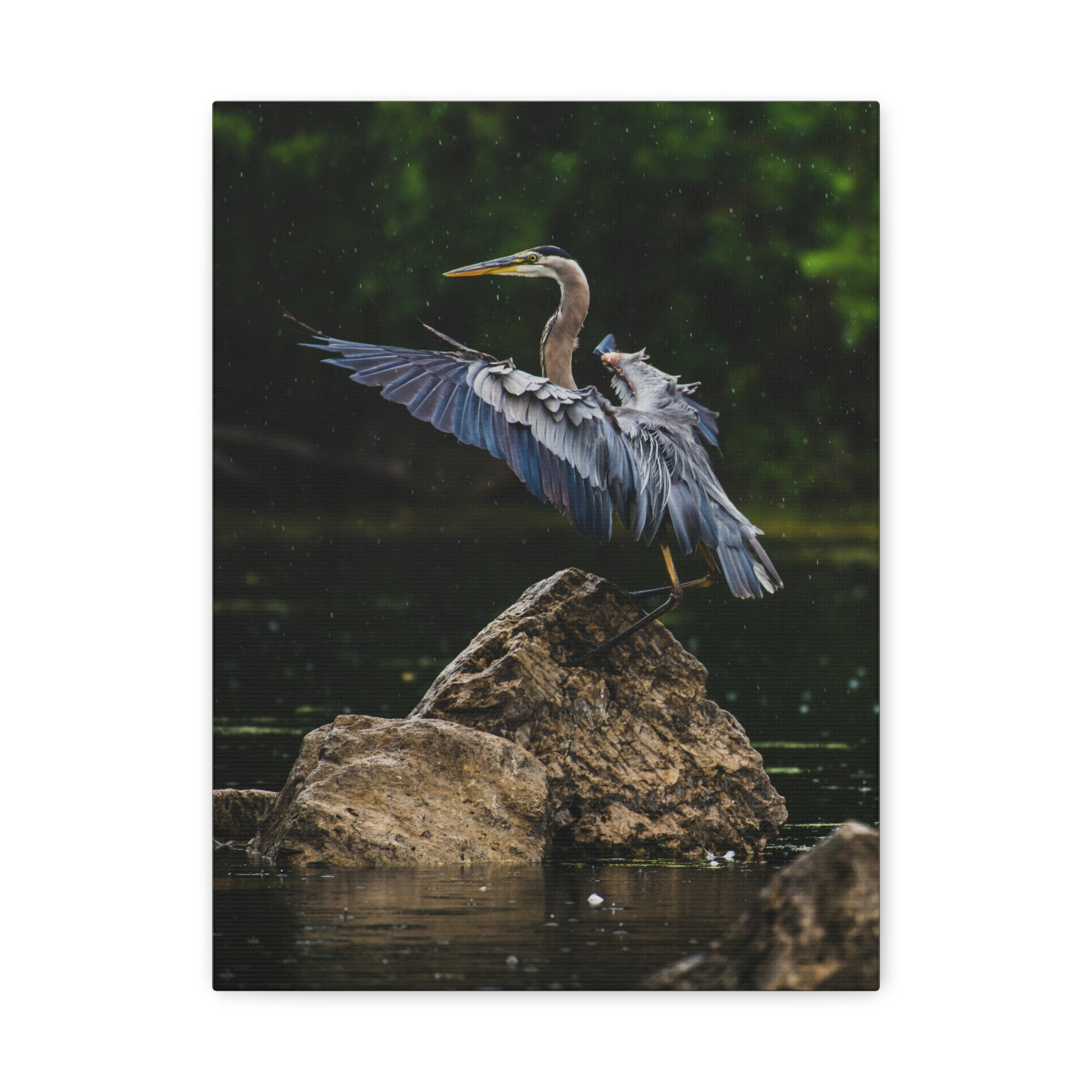 canvas-print-wall-art-great-blue-heron-matte-canvas-stretched-home-decor-bird-lover-gift-nature-wall-hanging-wildlife