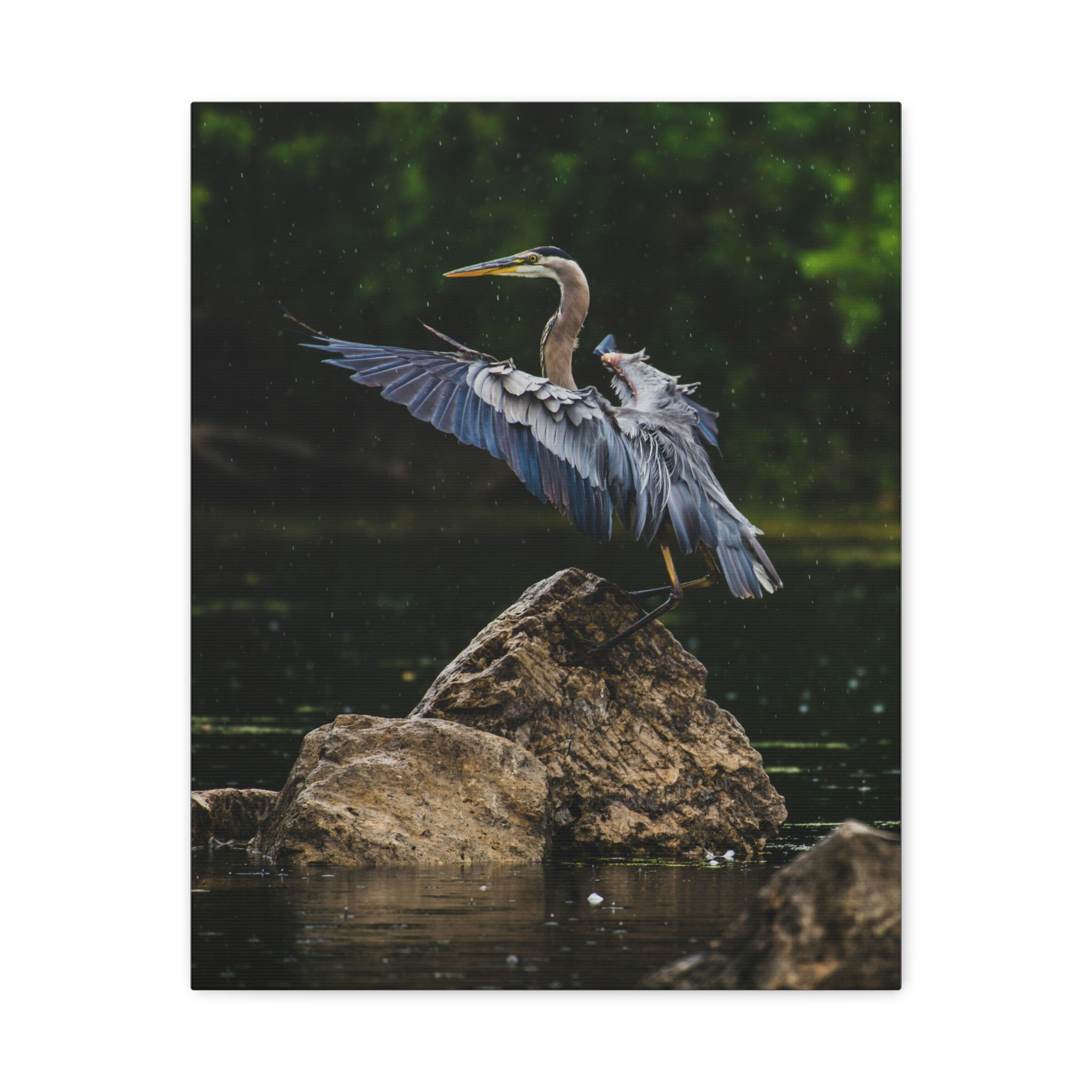 canvas-print-wall-art-great-blue-heron-matte-canvas-stretched-home-decor-bird-lover-gift-nature-wall-hanging-wildlife