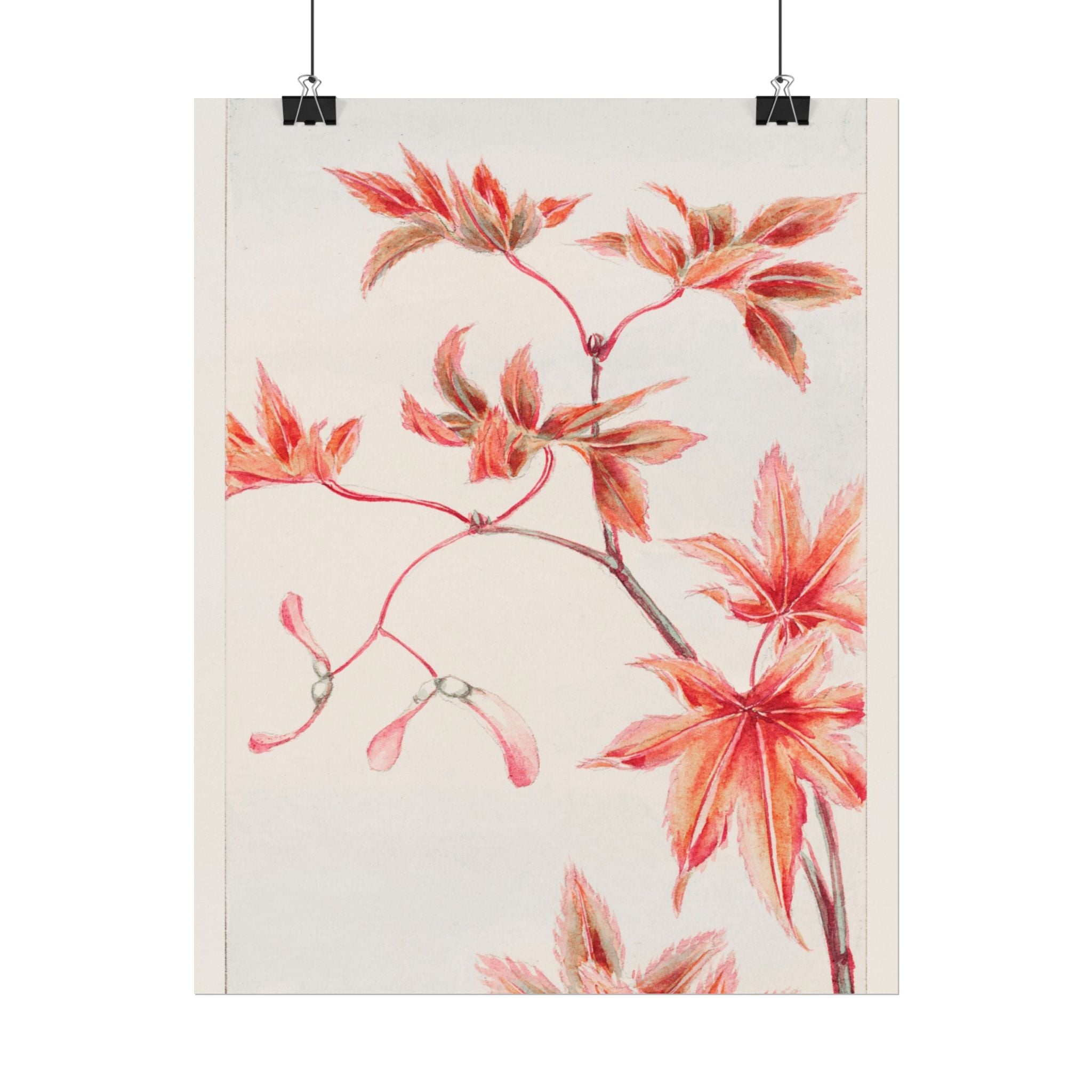 poster-print-branch-of-momiji-maple-tree-with-leaves-floral-wall-art-rolled-posters-wall-decor-room-decoration-nature-art-bot