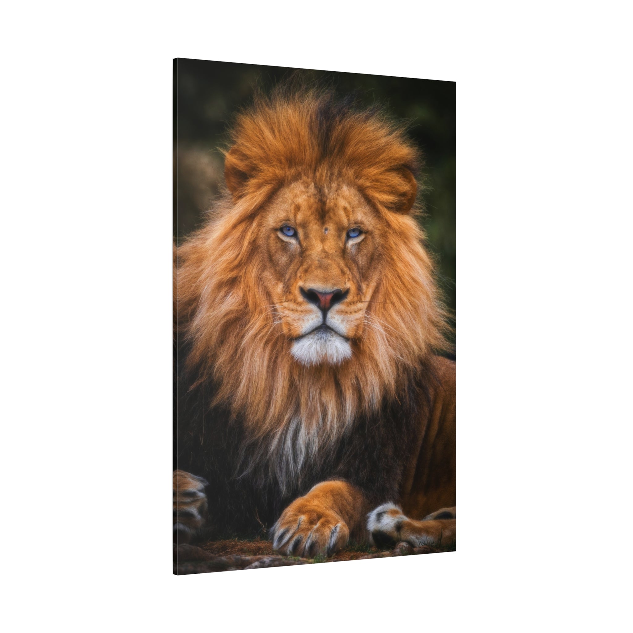 canvas-print-blue-eyed-lion-wall-art-wildlife-home-decor-animal-lover-gift-safari-nursery-decoration-wildlife-art-print-lion-