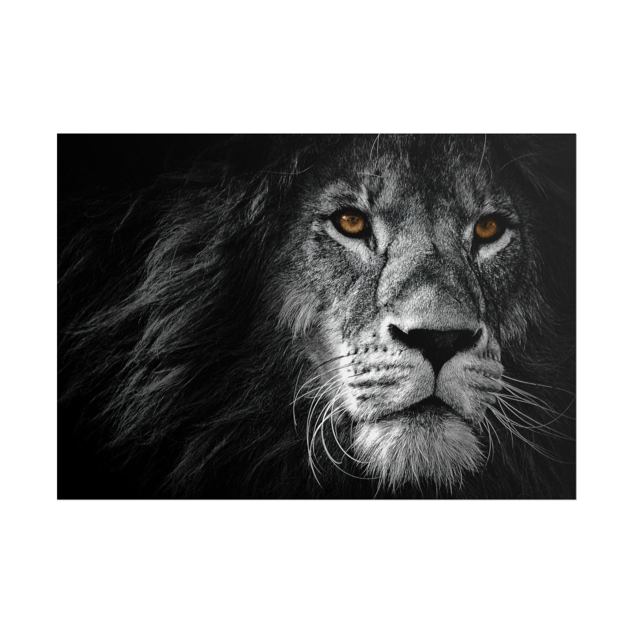 poster-print-lion-wall-art-black-and-white-monochrome-decor-living-room-decor-lion-poster-jungle-animal-art-print-wildlife-sa