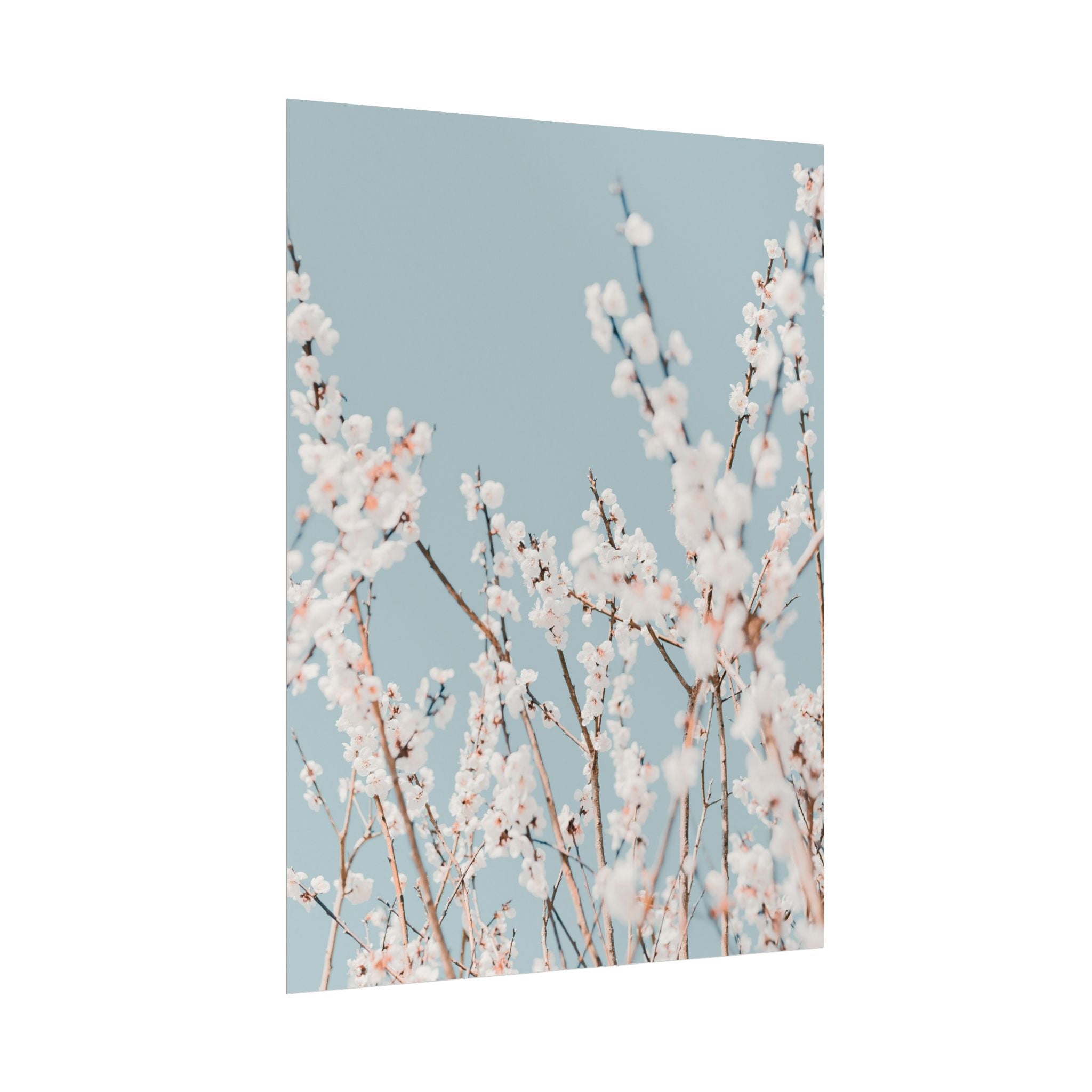 blossom-flowers-poster-print-minimalist-aesthetic-wall-art-fine-art-paper-home-decor-floral-decor-elegant-artwork