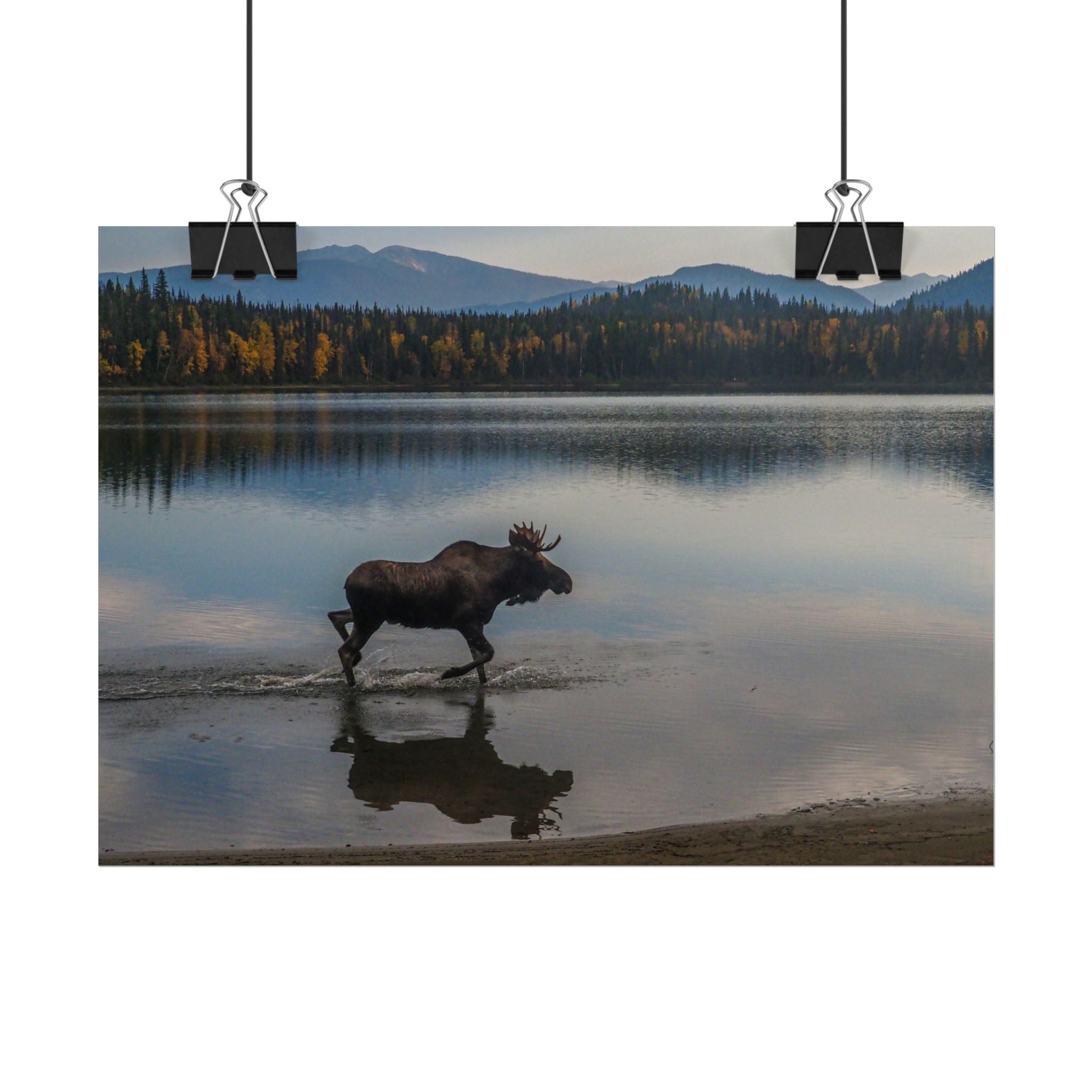 rustic-moose-poster-wall-decor-cabin-lodge-wildlife-painting-nature-home-decor-wilderness-animal-poster-farmhouse-wall-art