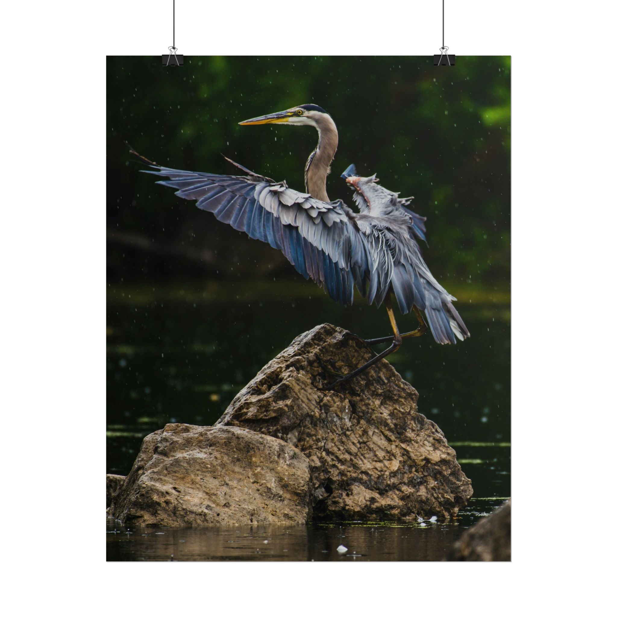 great-blue-heron-poster-wall-art-home-decor-bird-lover-gift-nature-wall-hanging-wildlife-poster
