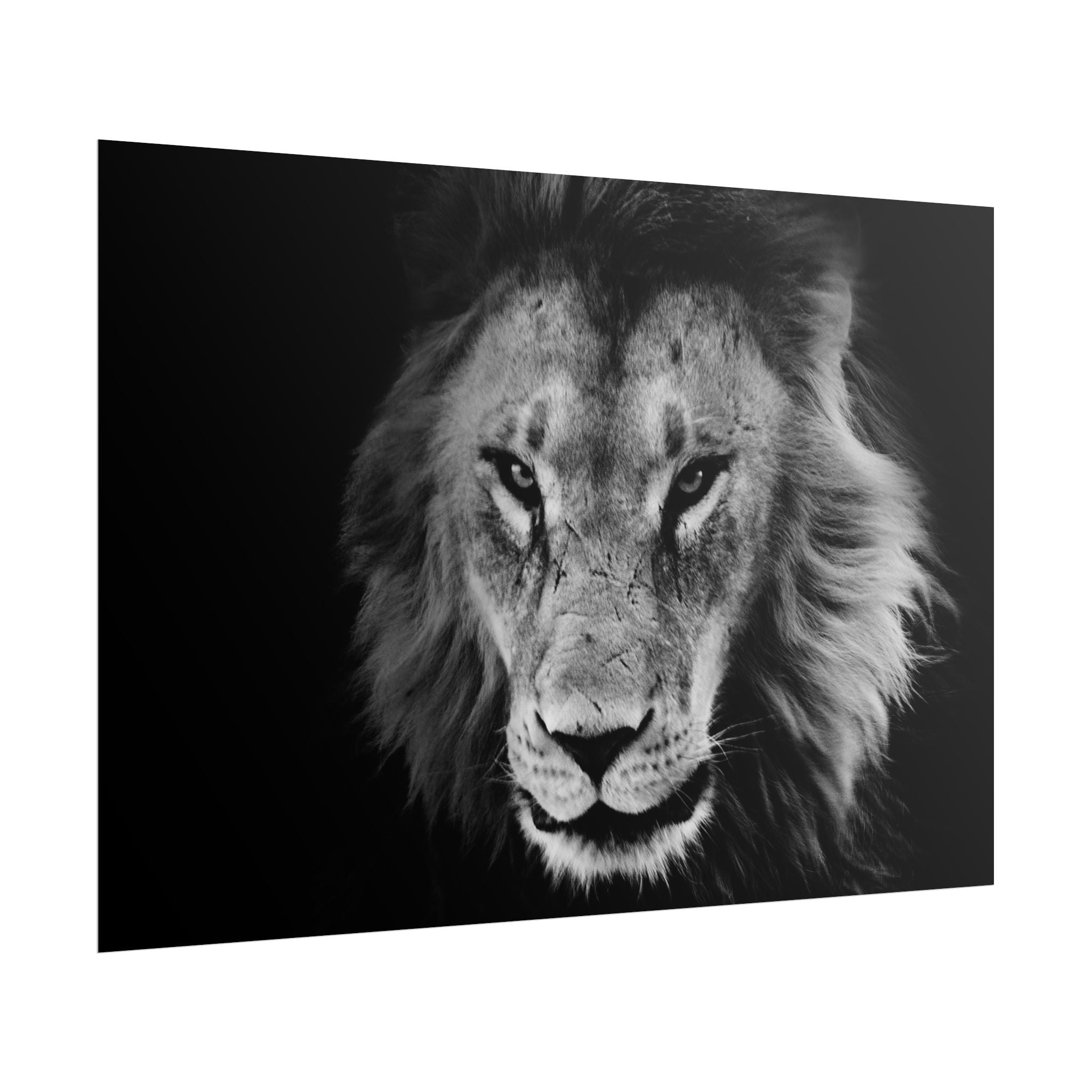 poster-print-lion-wall-art-black-and-white-living-room-decor-monochrome-art-lion-poster-jungle-animal-art-print-wildlife-safa