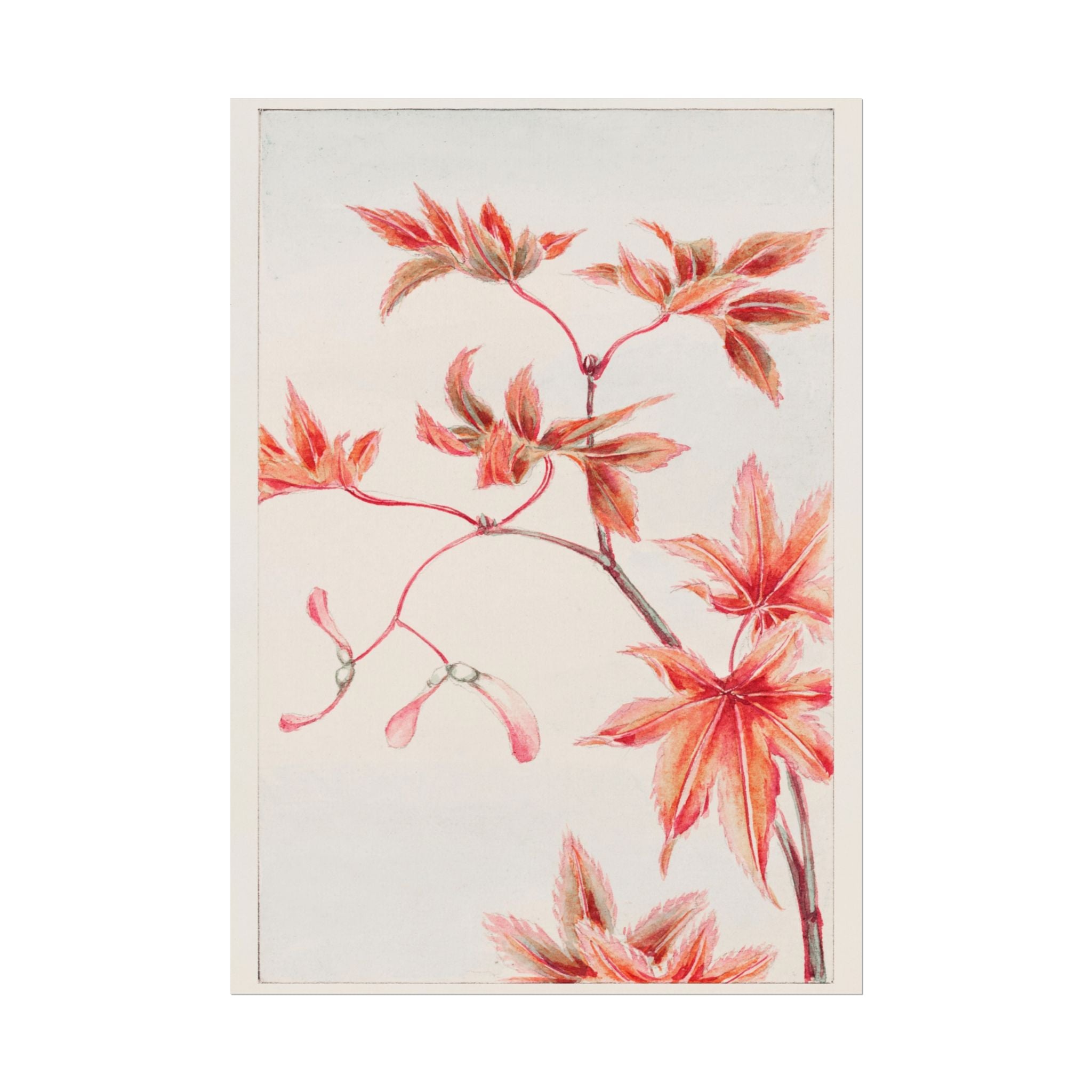 poster-print-branch-of-momiji-maple-tree-with-leaves-floral-wall-art-rolled-posters-wall-decor-room-decoration-nature-art-bot