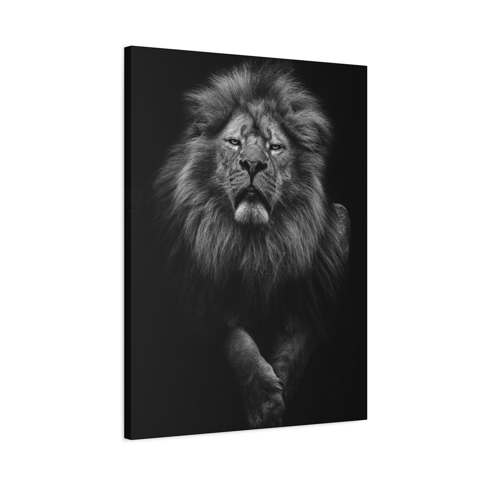 canvas-print-lion-wall-art-black-and-white-living-room-decor-matte-stretched-lion-poster-jungle-animal-art-print-wildlife-saf