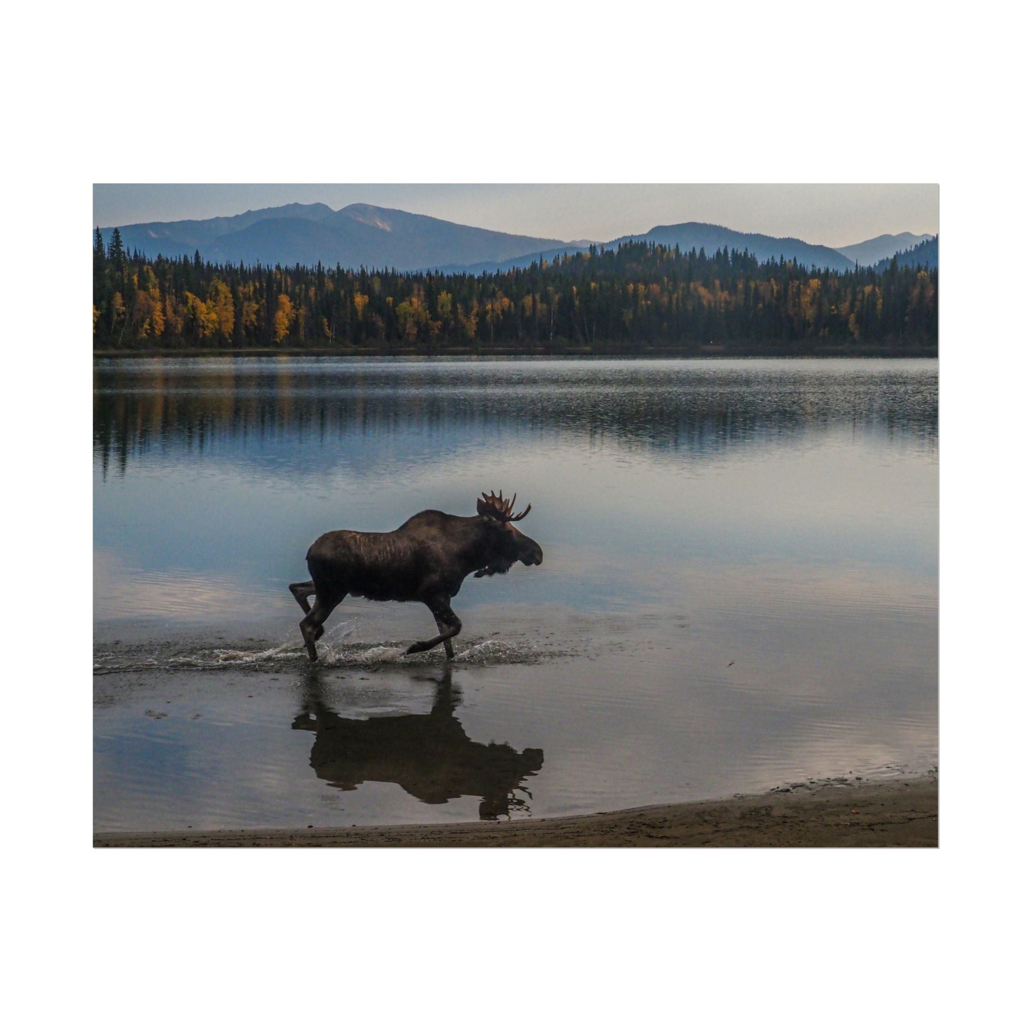 rustic-moose-poster-wall-decor-cabin-lodge-wildlife-painting-nature-home-decor-wilderness-animal-poster-farmhouse-wall-art