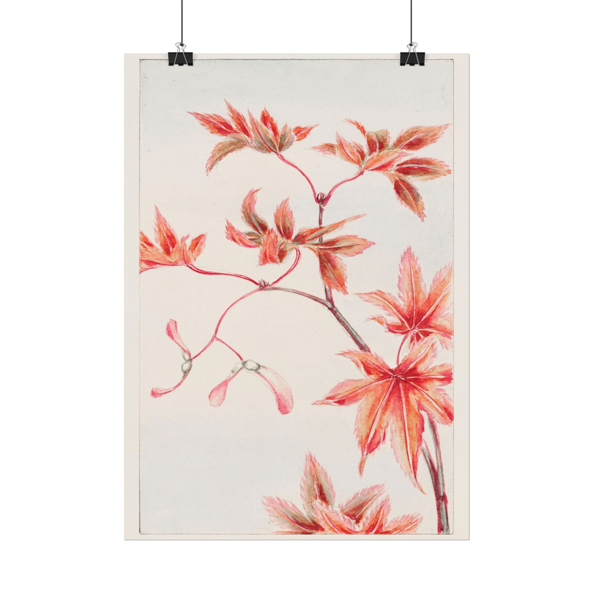 poster-print-branch-of-momiji-maple-tree-with-leaves-floral-wall-art-rolled-posters-wall-decor-room-decoration-nature-art-bot