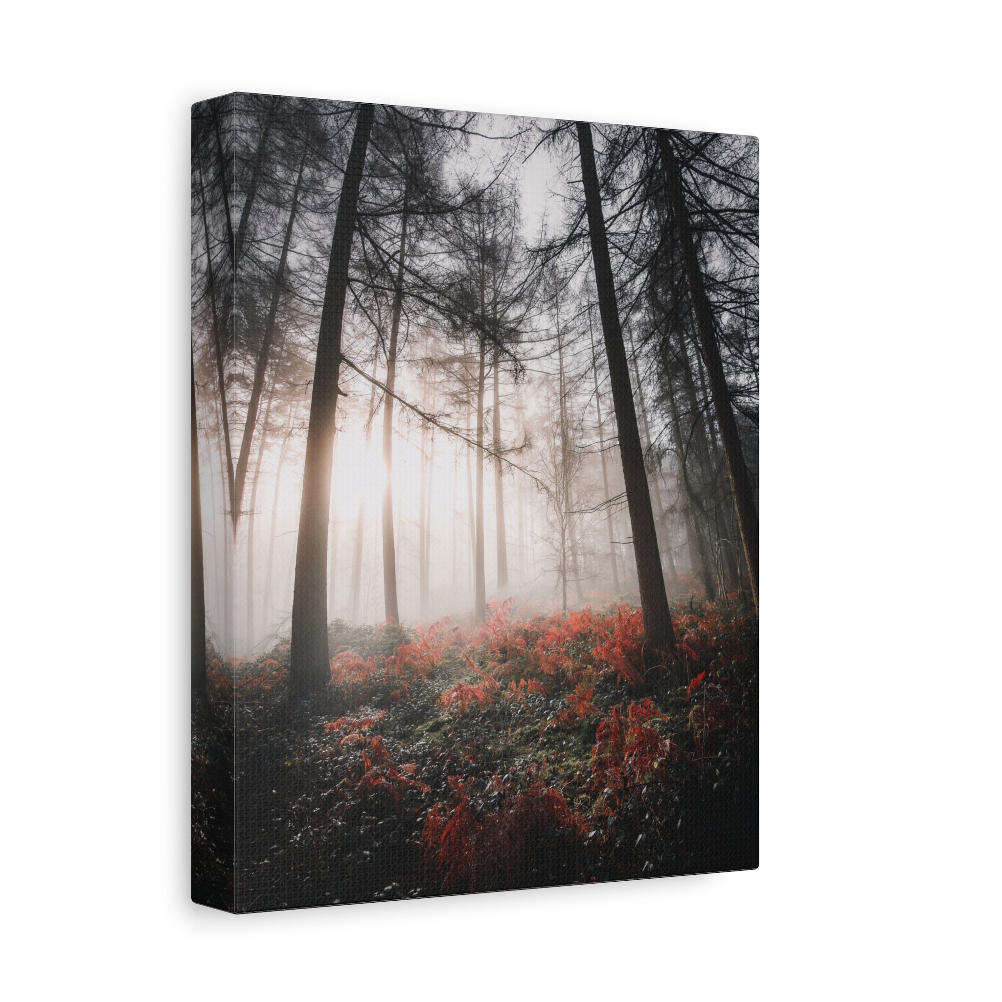 canvas-print-misty-woods-art-living-room-wall-decor-sunlight-forest-landscape-aesthetic-nature-art-stretched-artwork-matte-ca