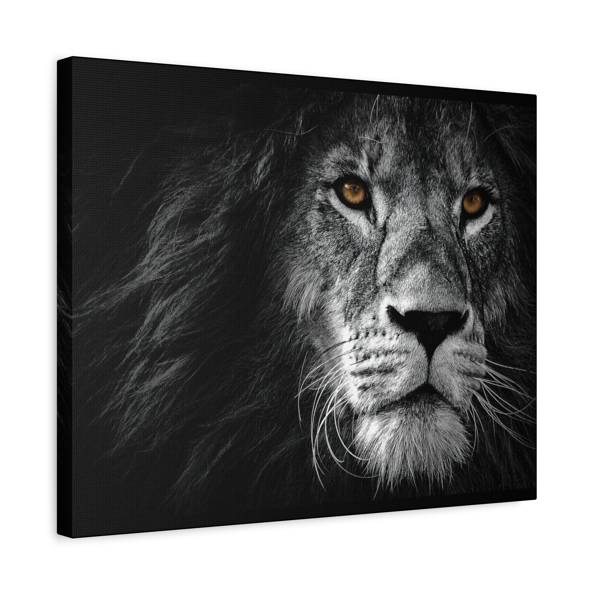 canvas-print-lion-wall-art-black-and-white-living-room-decor-matte-stretched-lion-poster-jungle-animal-art-print-wildlife-saf
