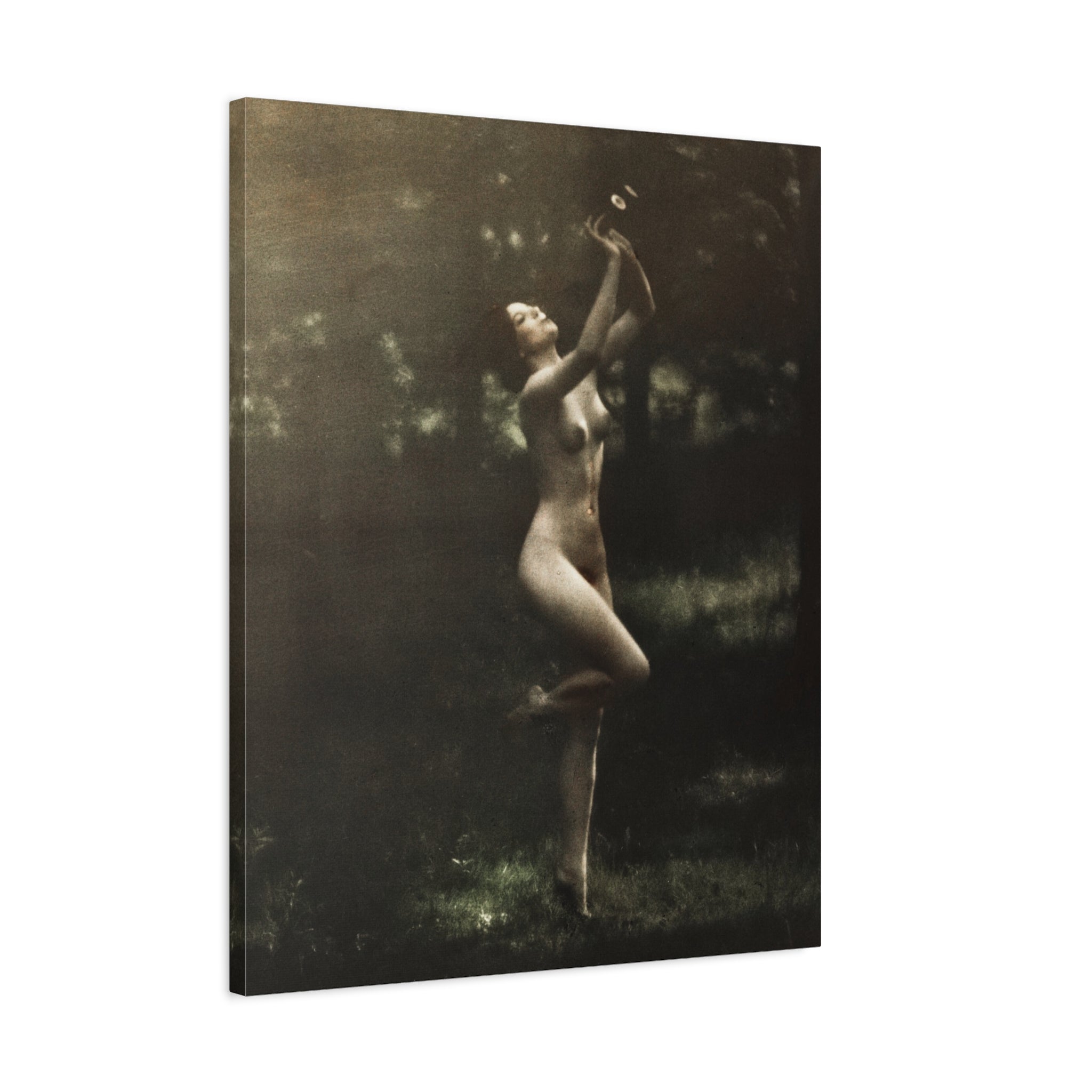 canvas-print-nude-dancer-by-arnold-genthe-nude-photography-nude-art-wall-decor-stretched-canvas-art-print-nature-photography