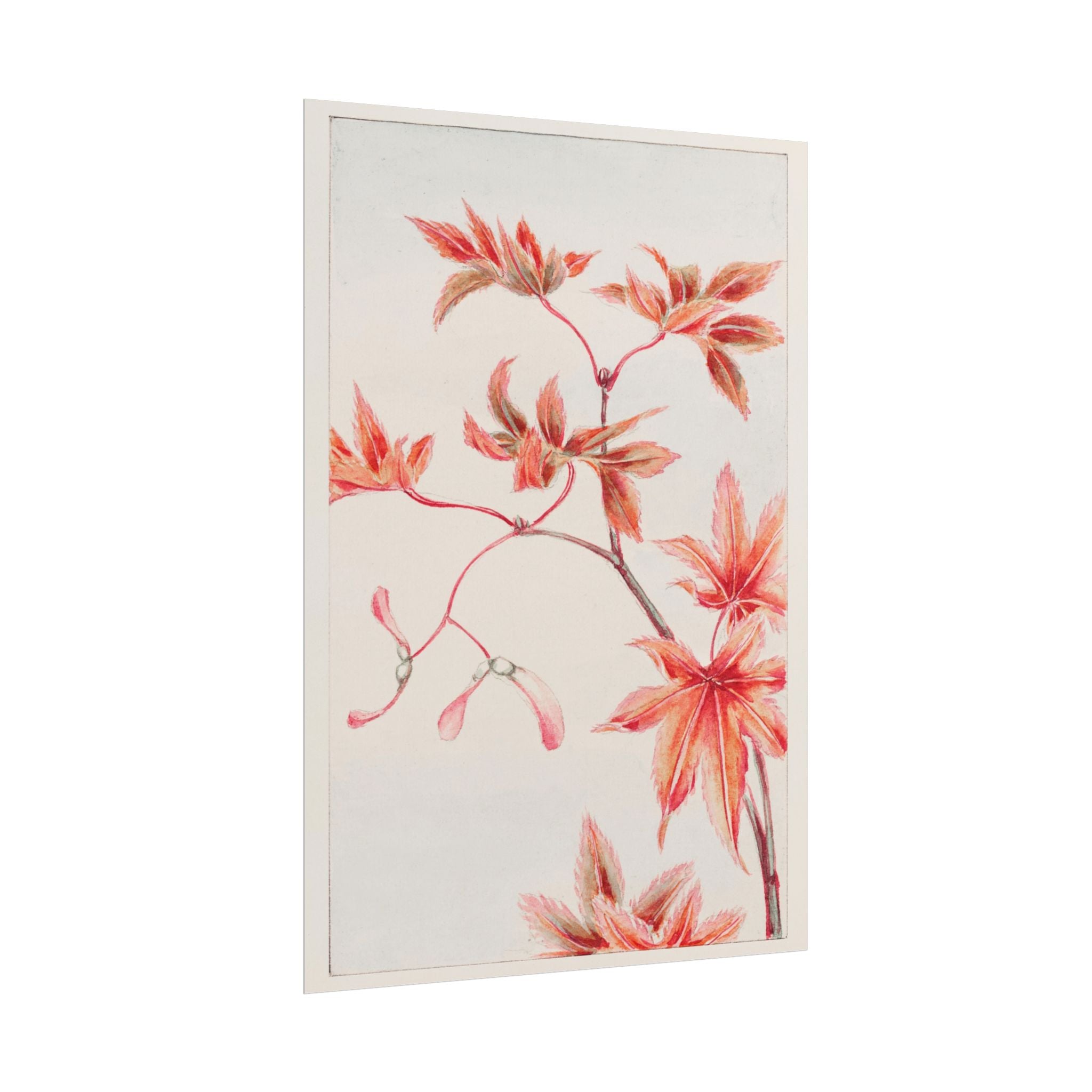 poster-print-branch-of-momiji-maple-tree-with-leaves-floral-wall-art-rolled-posters-wall-decor-room-decoration-nature-art-bot