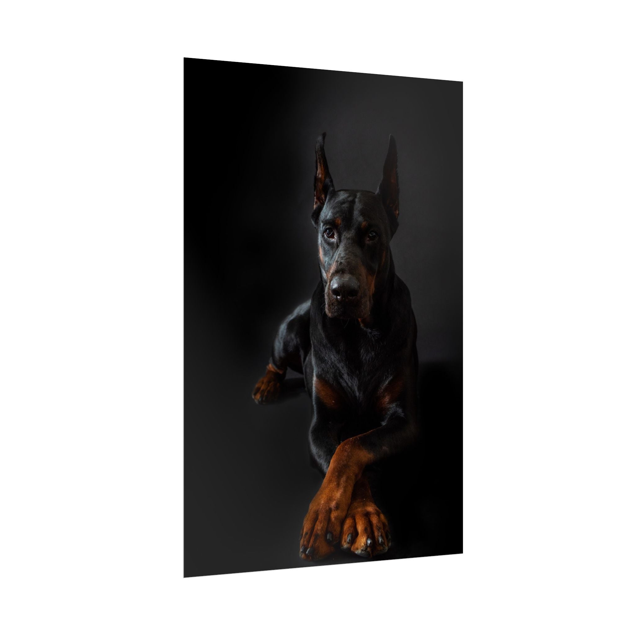 doberman-pincher-poster-print-rolled-posters-wall-art-home-decor-dog-lover-gift-animal-art-room-decoration
