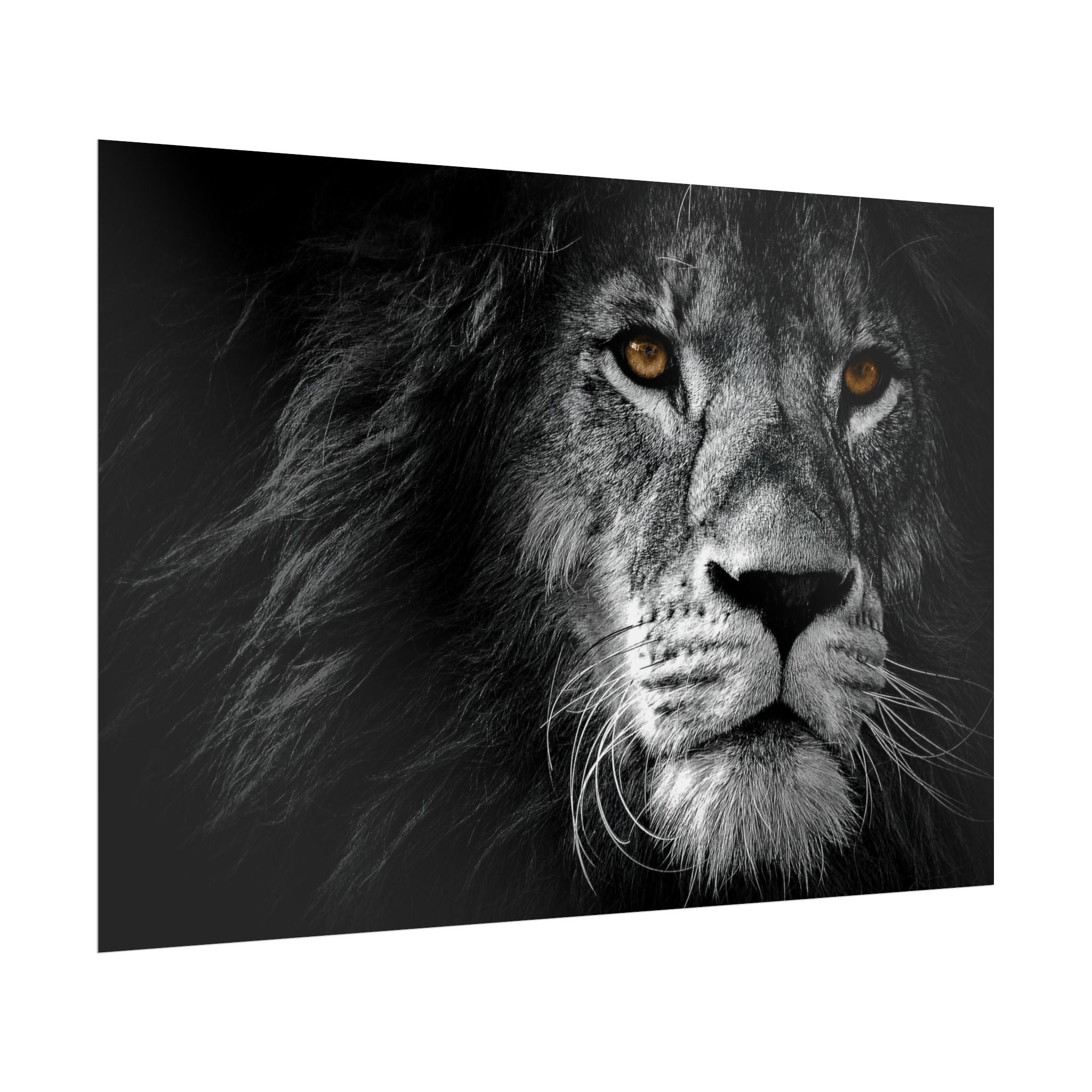 poster-print-lion-wall-art-black-and-white-monochrome-decor-living-room-decor-lion-poster-jungle-animal-art-print-wildlife-sa