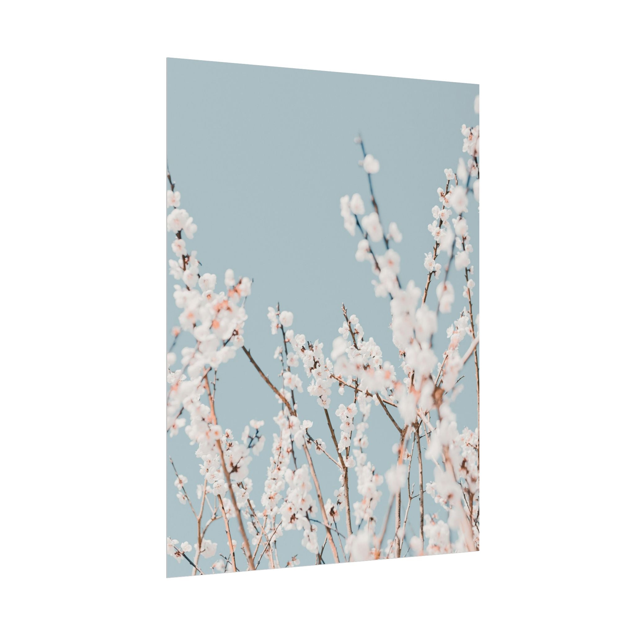 blossom-flowers-poster-print-minimalist-aesthetic-wall-art-fine-art-paper-home-decor-floral-decor-elegant-artwork