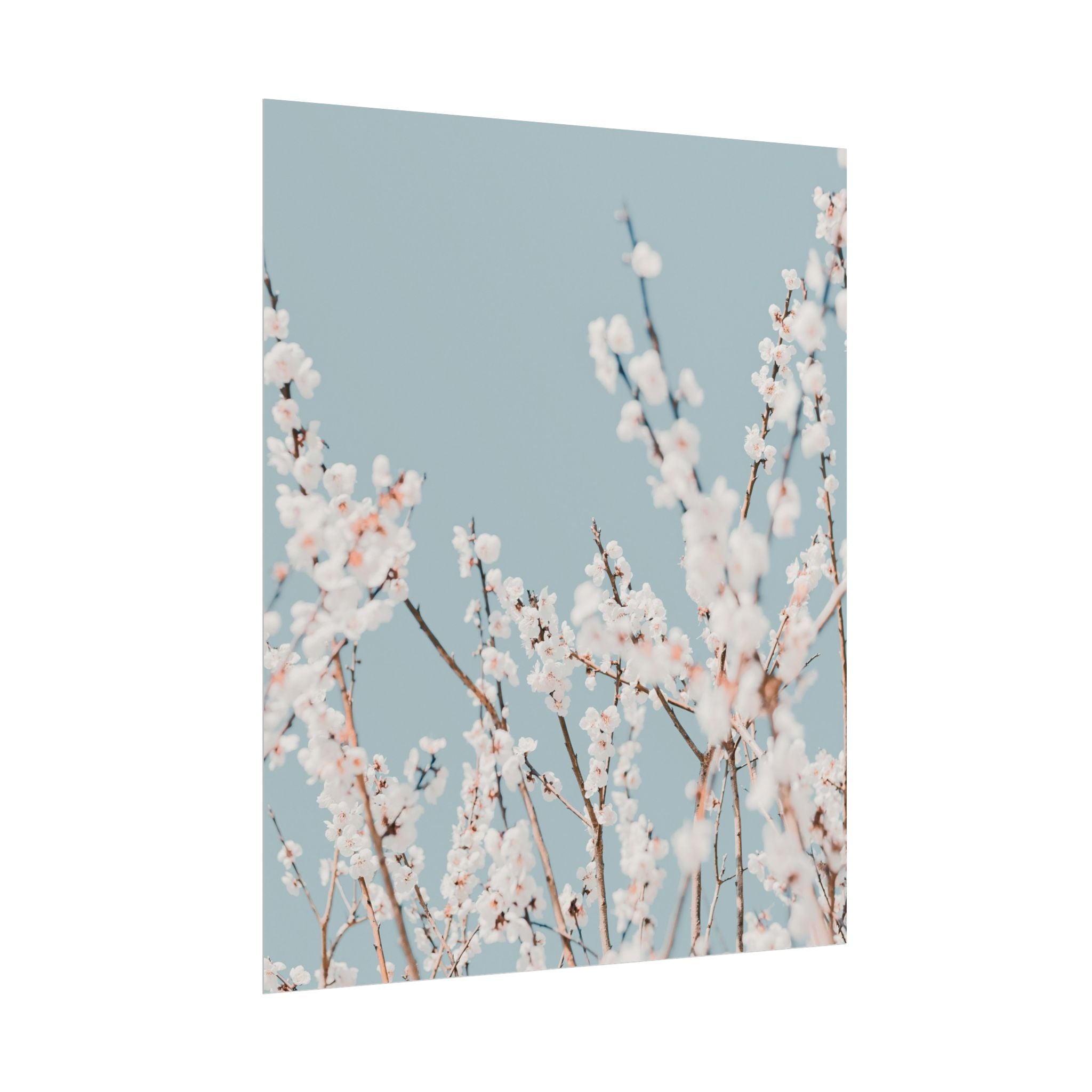 blossom-flowers-poster-print-minimalist-aesthetic-wall-art-fine-art-paper-home-decor-floral-decor-elegant-artwork