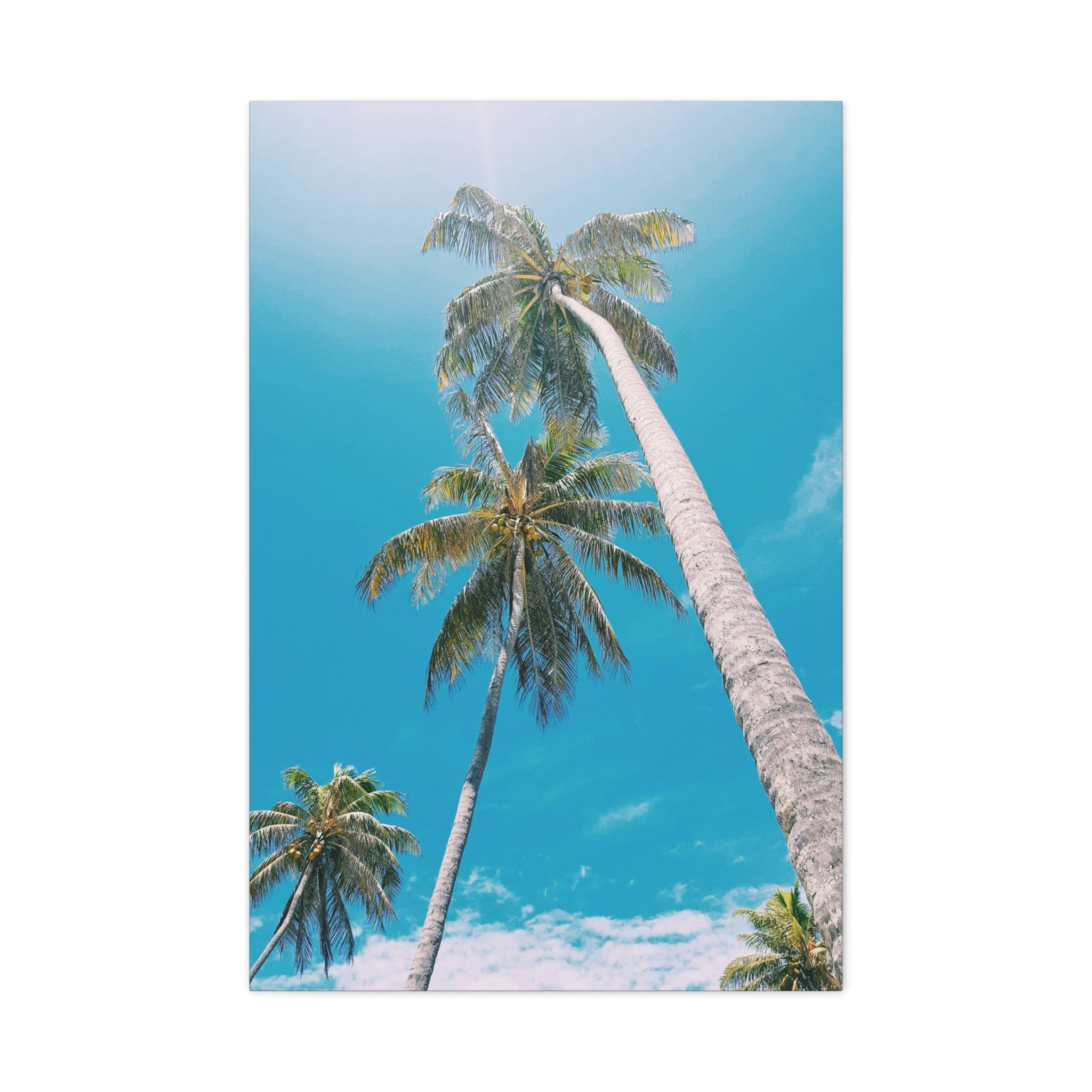 palm-tree-canvas-print-palm-tree-decor-wall-art-print-home-decor-palm-tree-fine-art-palm-tree-art-gallery-stretched-canvas-pr