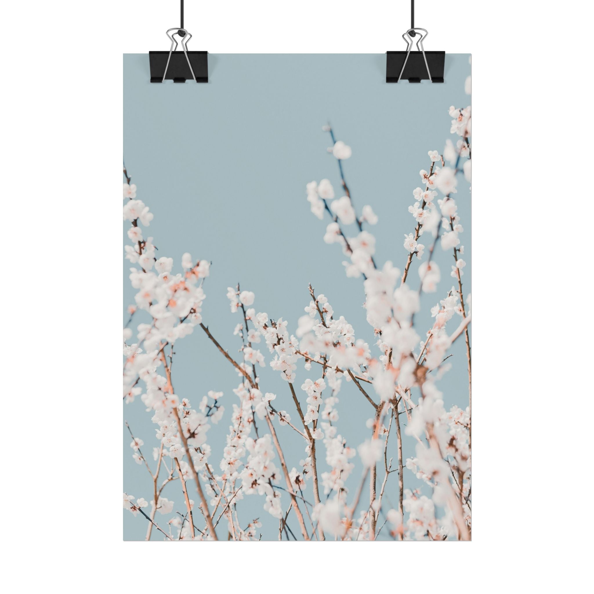blossom-flowers-poster-print-minimalist-aesthetic-wall-art-fine-art-paper-home-decor-floral-decor-elegant-artwork