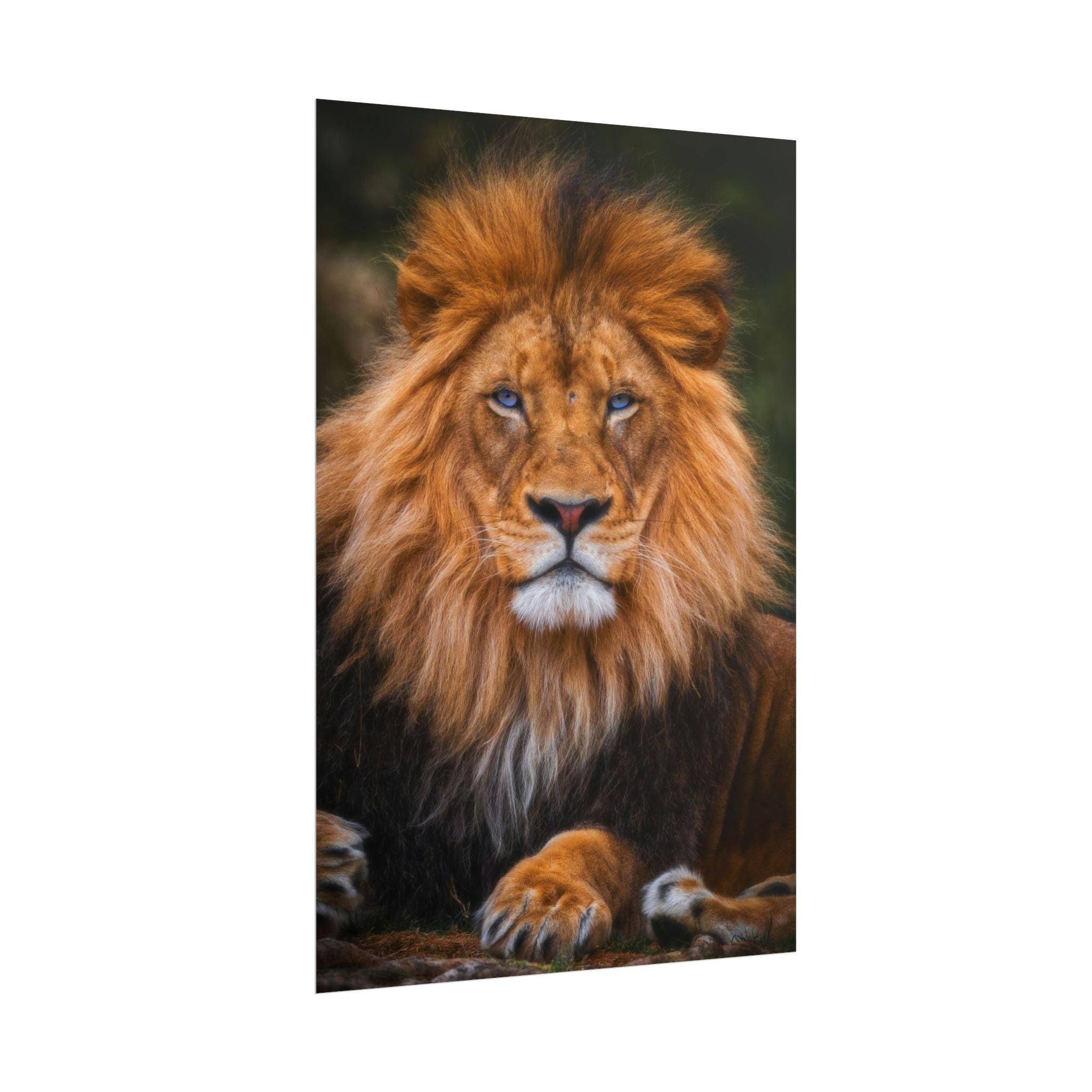 blue-eyed-lion-poster-wall-art-wildlife-home-decor-animal-lover-gift-safari-decoration-wildlife-art-print-lion-wall-decor