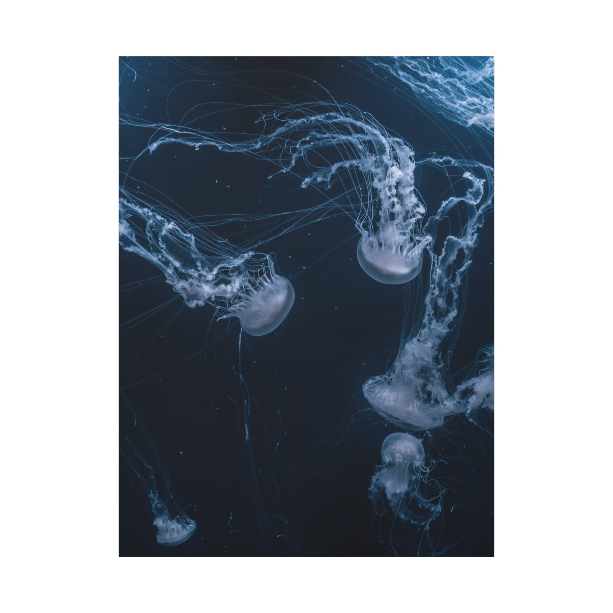 canvas-print-jellyfish-wall-art-wall-hanging-matte-canvas-ocean-life-deep-ocean-decor-home-decor-housewarming-gift