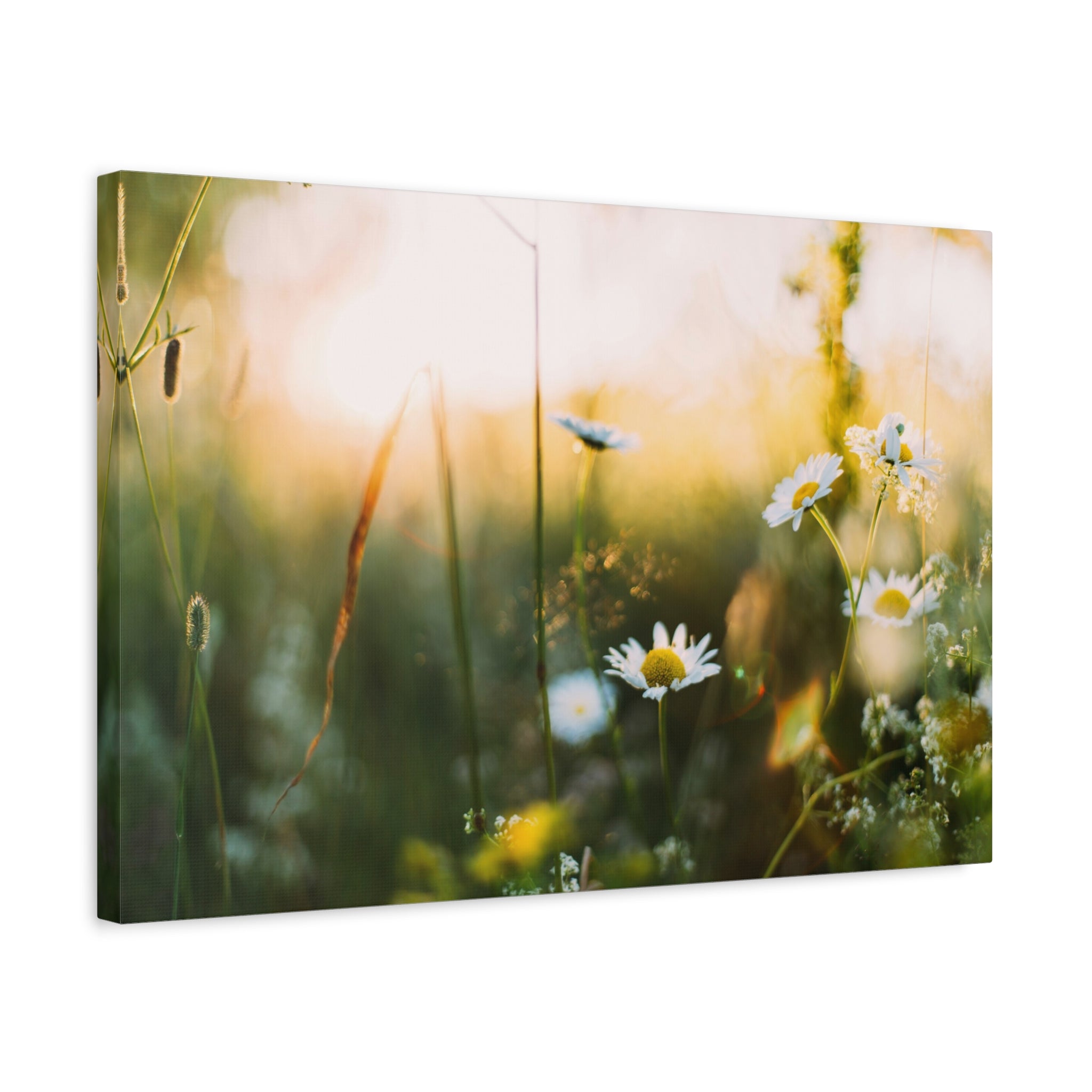 canvas-print-spring-flowers-wall-art-floral-home-decor-matte-canvas-print-stretched-canvas-art-1-25-canvas-artwork-botanical-