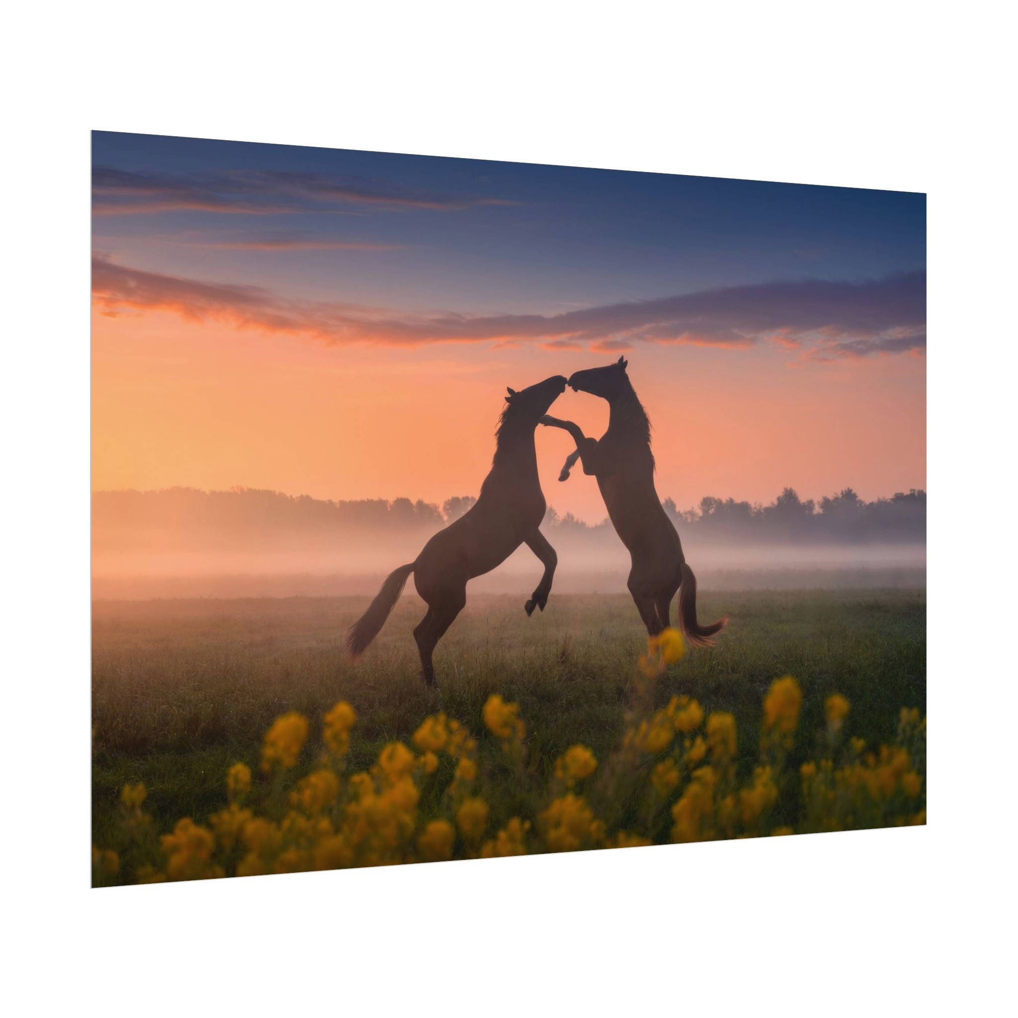 Wild Rising Horses Poster Print, Field of Flowers Decor, Home Decor, Farmhouse Wall Decor, Nature Wall Art, Horse Canvas Print, Mustang