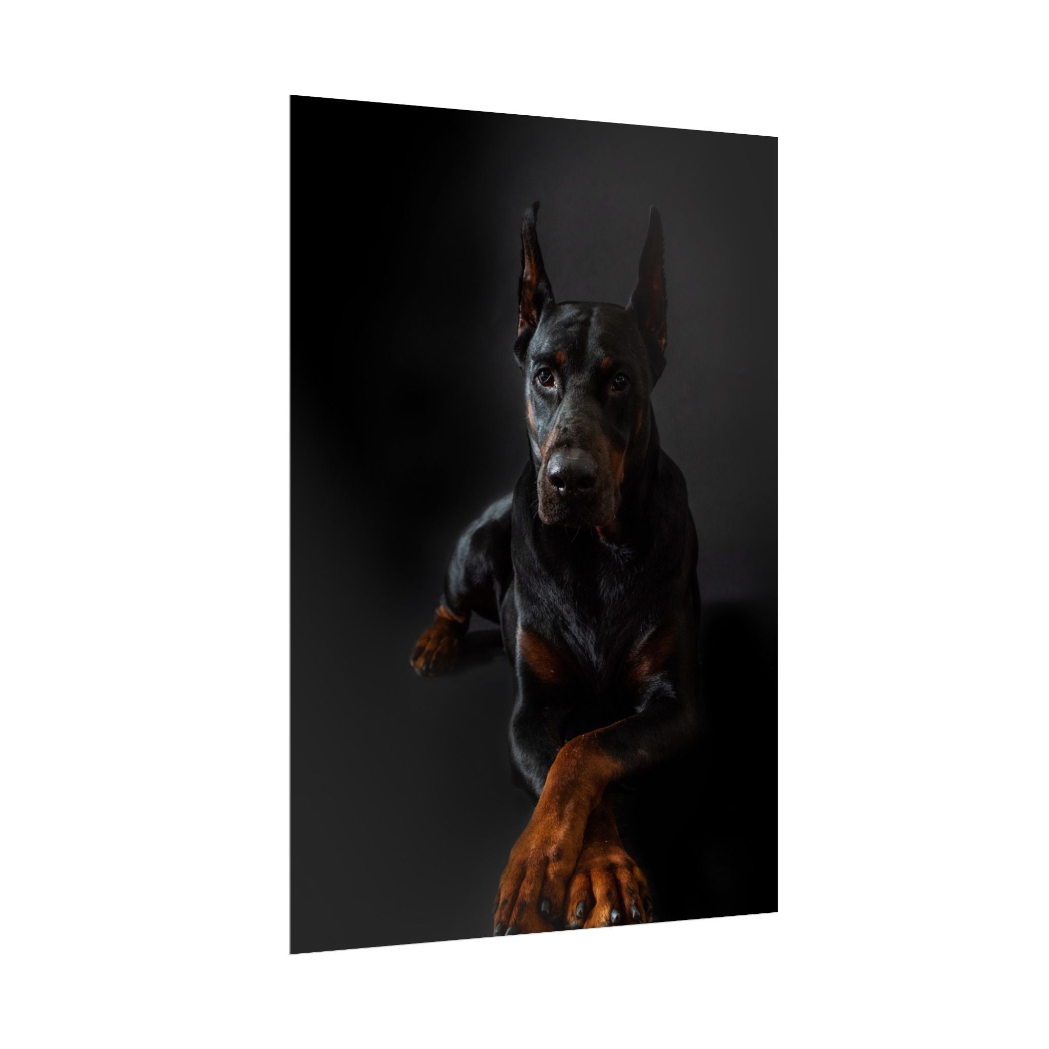 doberman-pincher-poster-print-rolled-posters-wall-art-home-decor-dog-lover-gift-animal-art-room-decoration