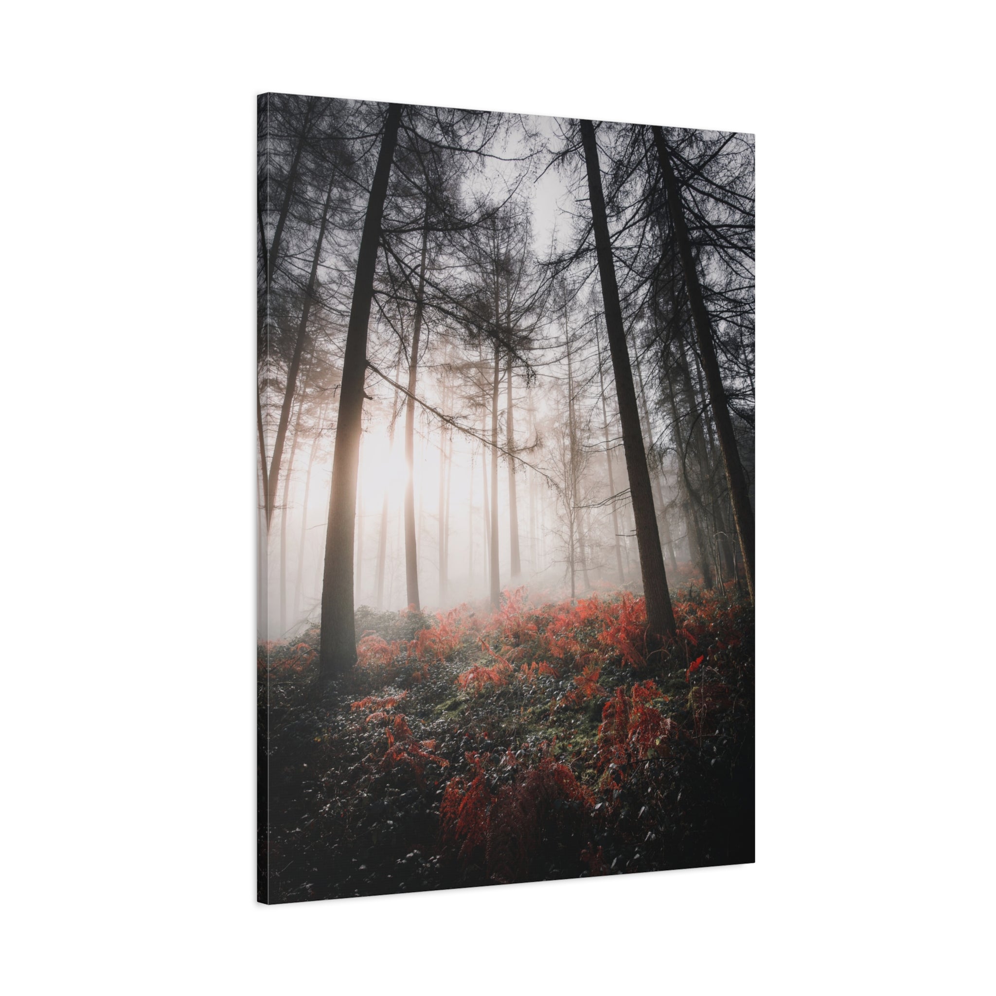 canvas-print-misty-woods-art-living-room-wall-decor-sunlight-forest-landscape-aesthetic-nature-art-stretched-artwork-matte-ca