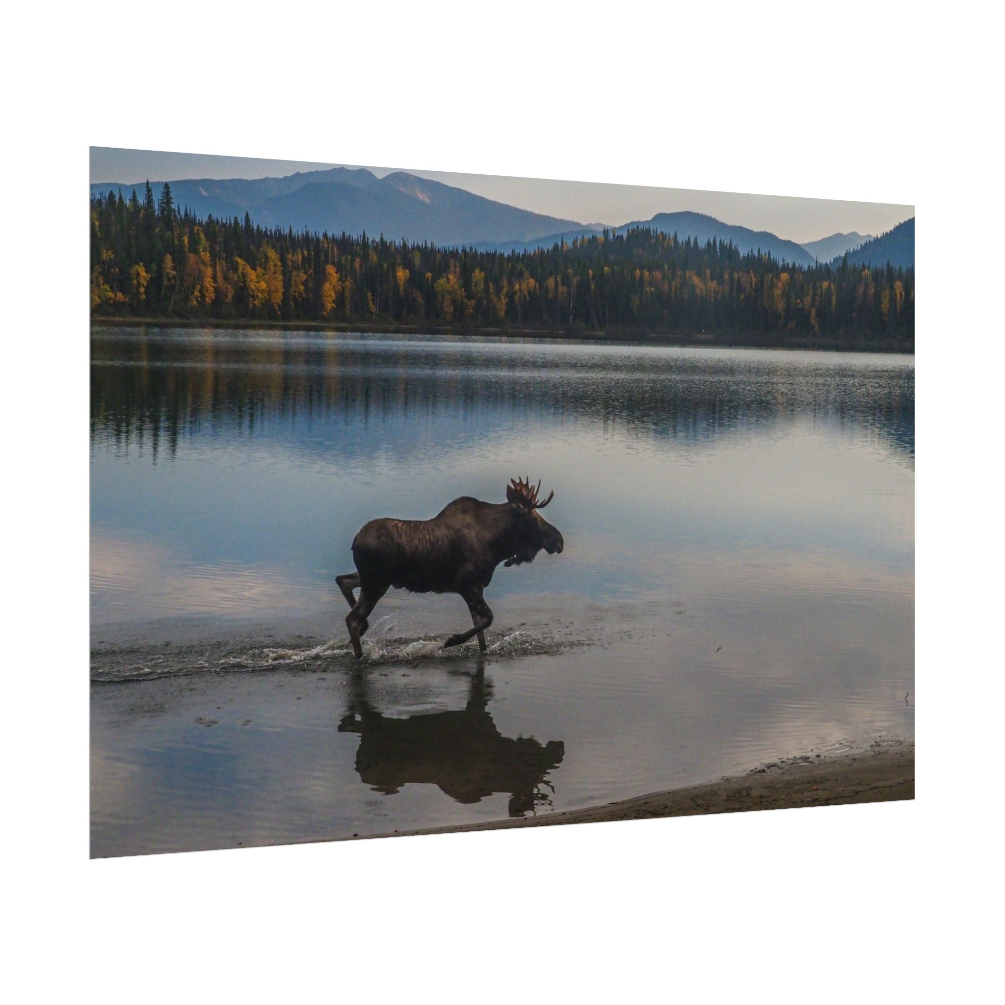 rustic-moose-poster-wall-decor-cabin-lodge-wildlife-painting-nature-home-decor-wilderness-animal-poster-farmhouse-wall-art